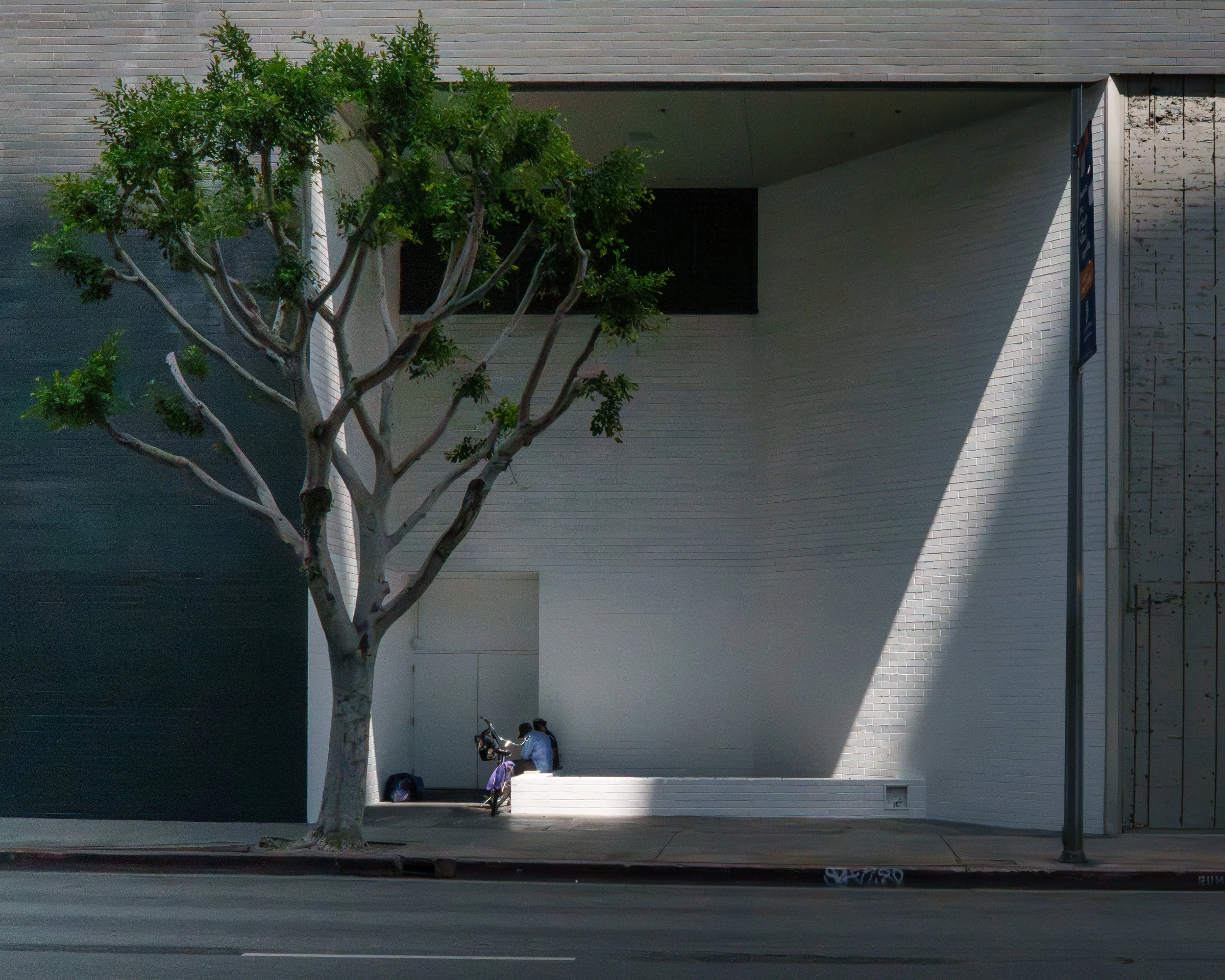 A tree grows in downtown Los Angeles surrounded by concrete and asphalt with two young lovers kissing in the shadows