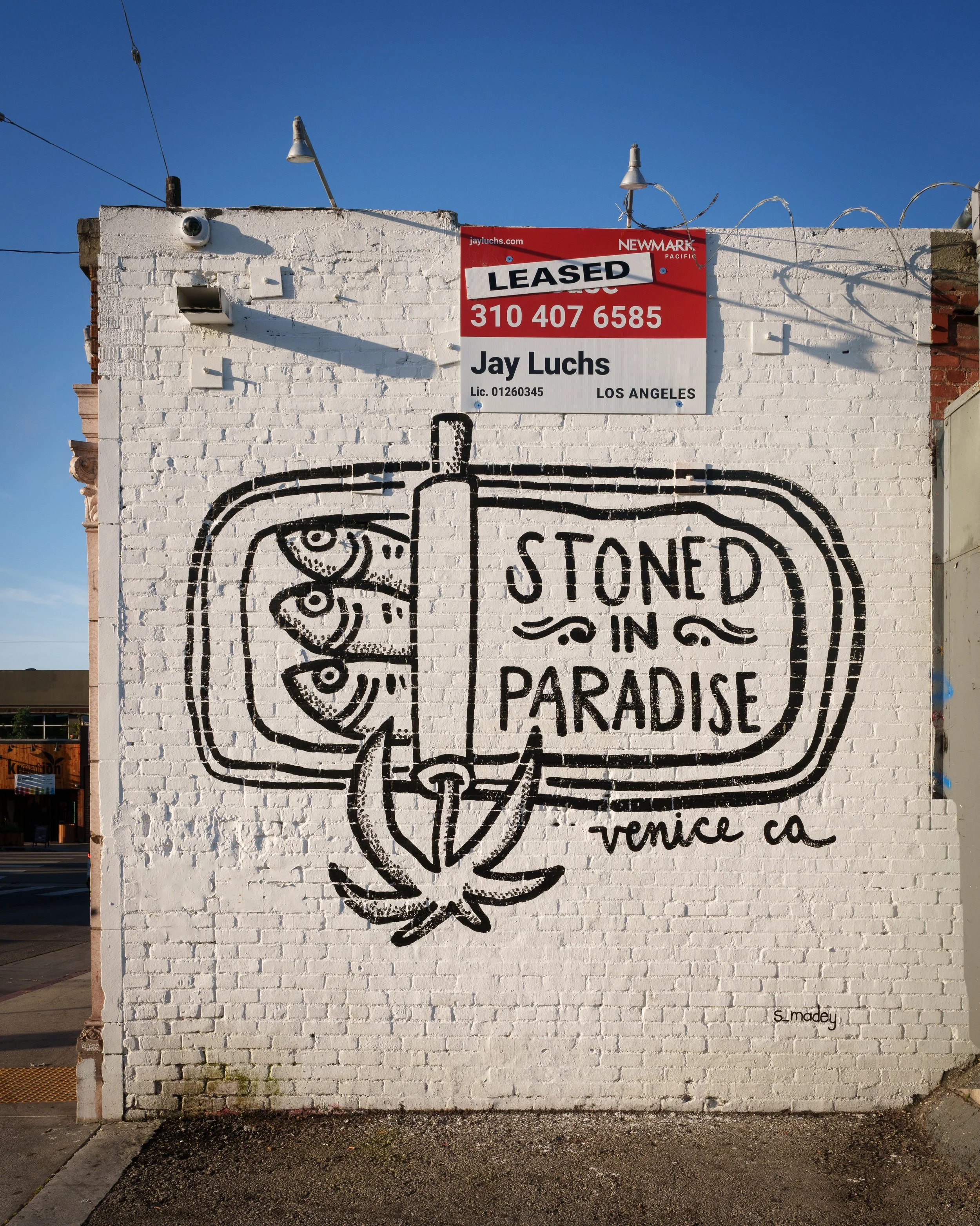 White brick wall mural featuring sardines in a can with a lable that reads Stoned In Paradise on a building that's for lease