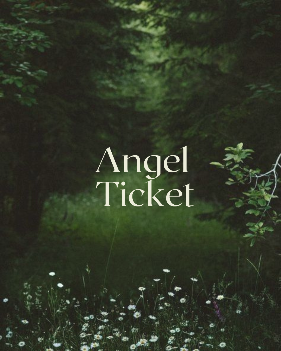Angel Ticket