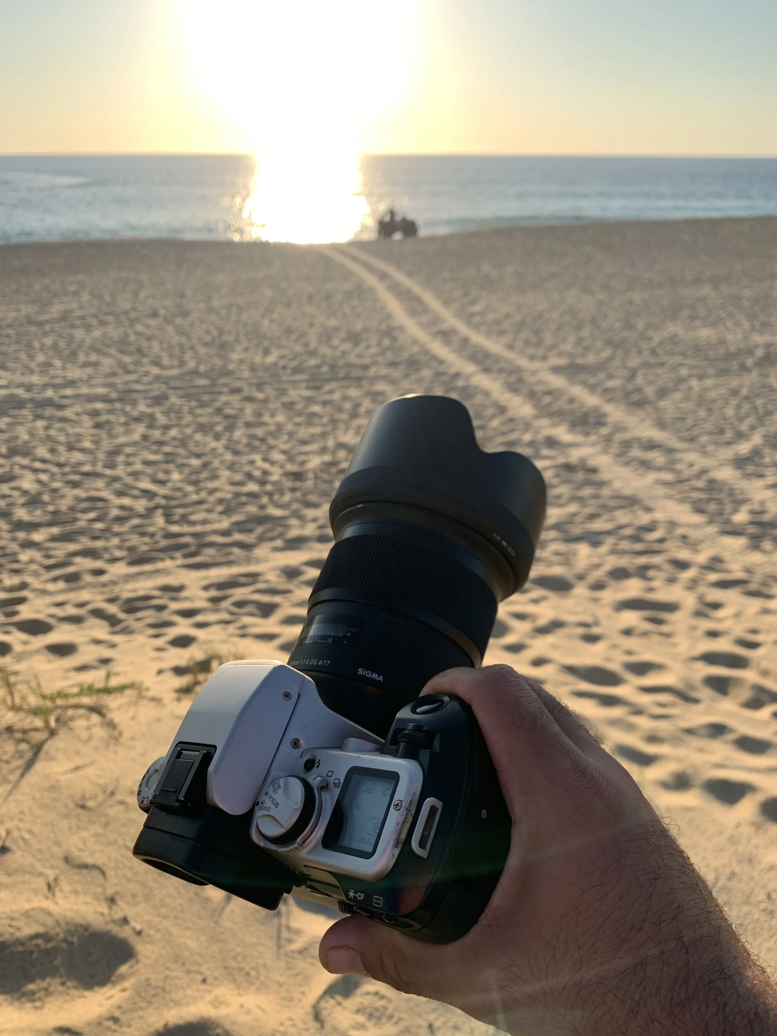 Person holding a camera while facing a beach at sunset, with sand, ocean, and a small group of people sitting near the water in Los Cabos, Mexico.