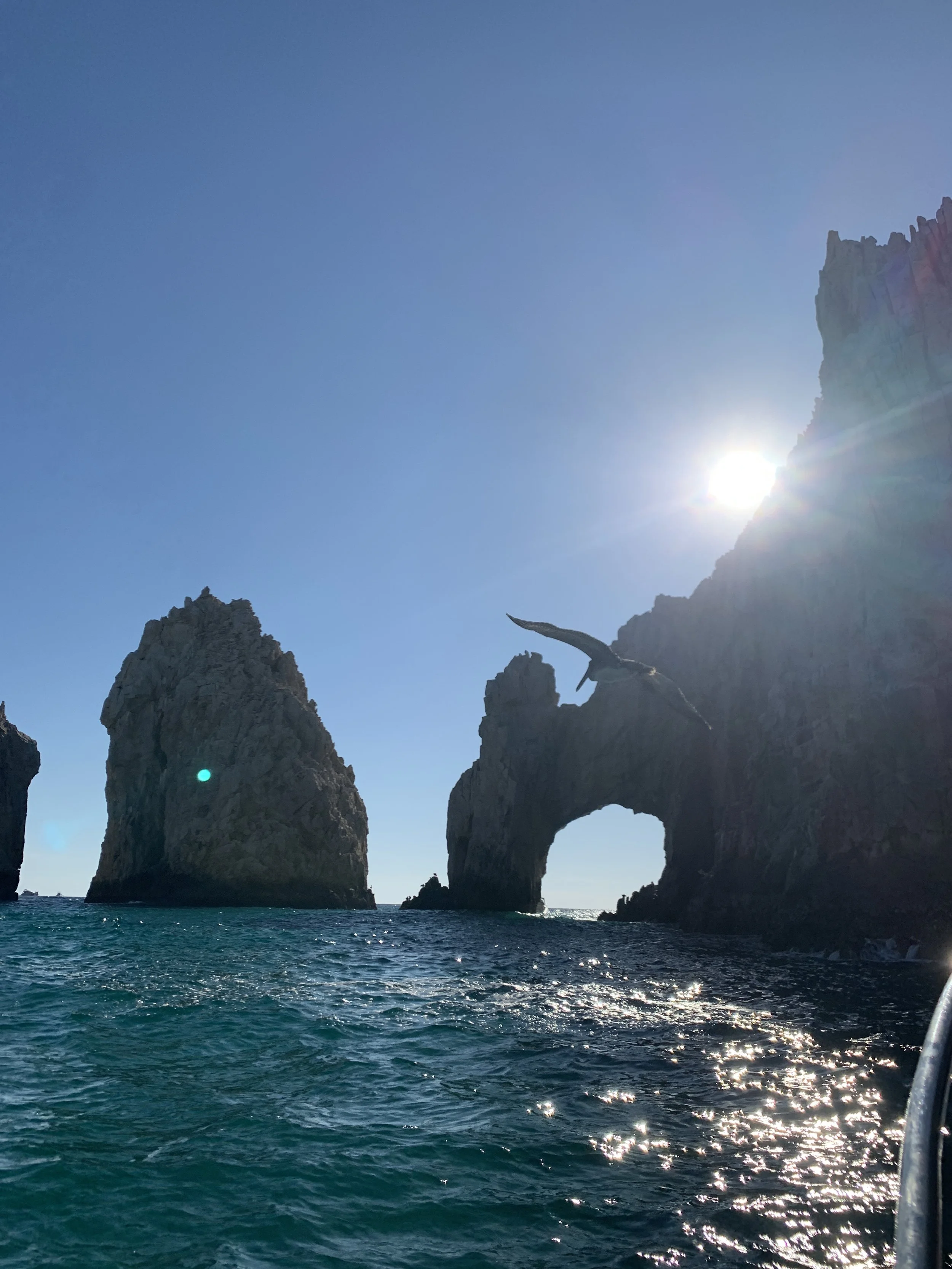 A seascape featuring large rock formations, including the natural arch formation in Los Cabos Mexico, with a bird soaring above. The sun is shining brightly, creating a lens flare, with the ocean below reflecting sunlight.