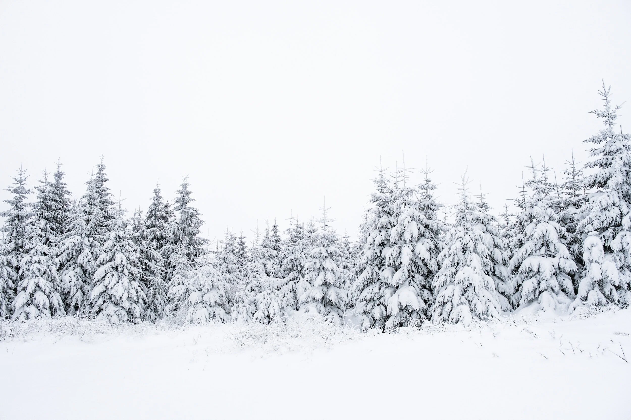 Navigating Anxiety: Five Tips for Relief around the Holidays