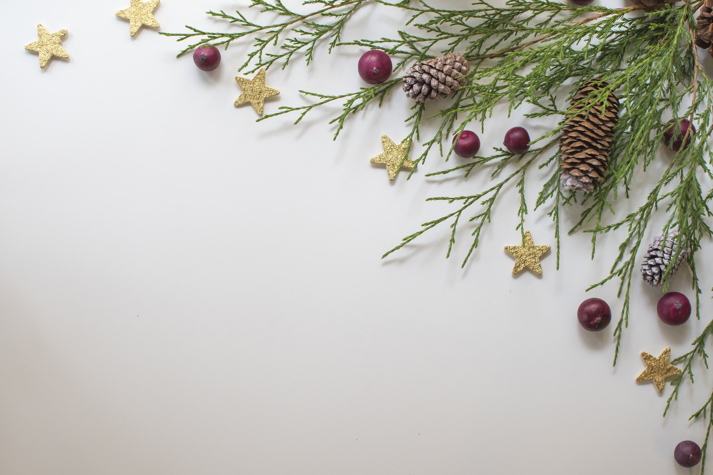 Navigating the Holidays