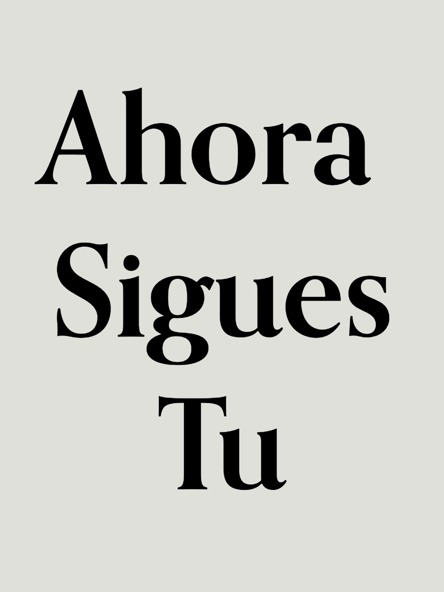 Law Offices of Fabian C Serrato