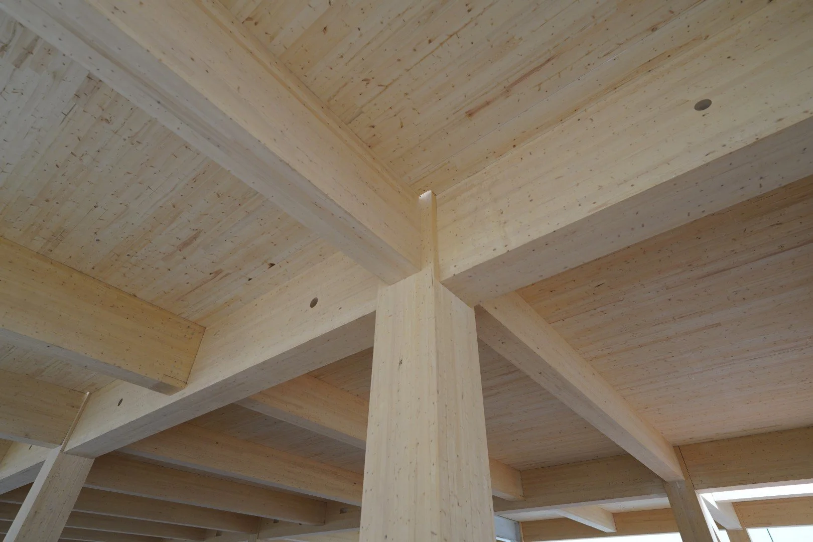 A wooden ceiling with beams and panels seen from below, showcasing the natural wood texture and construction details.