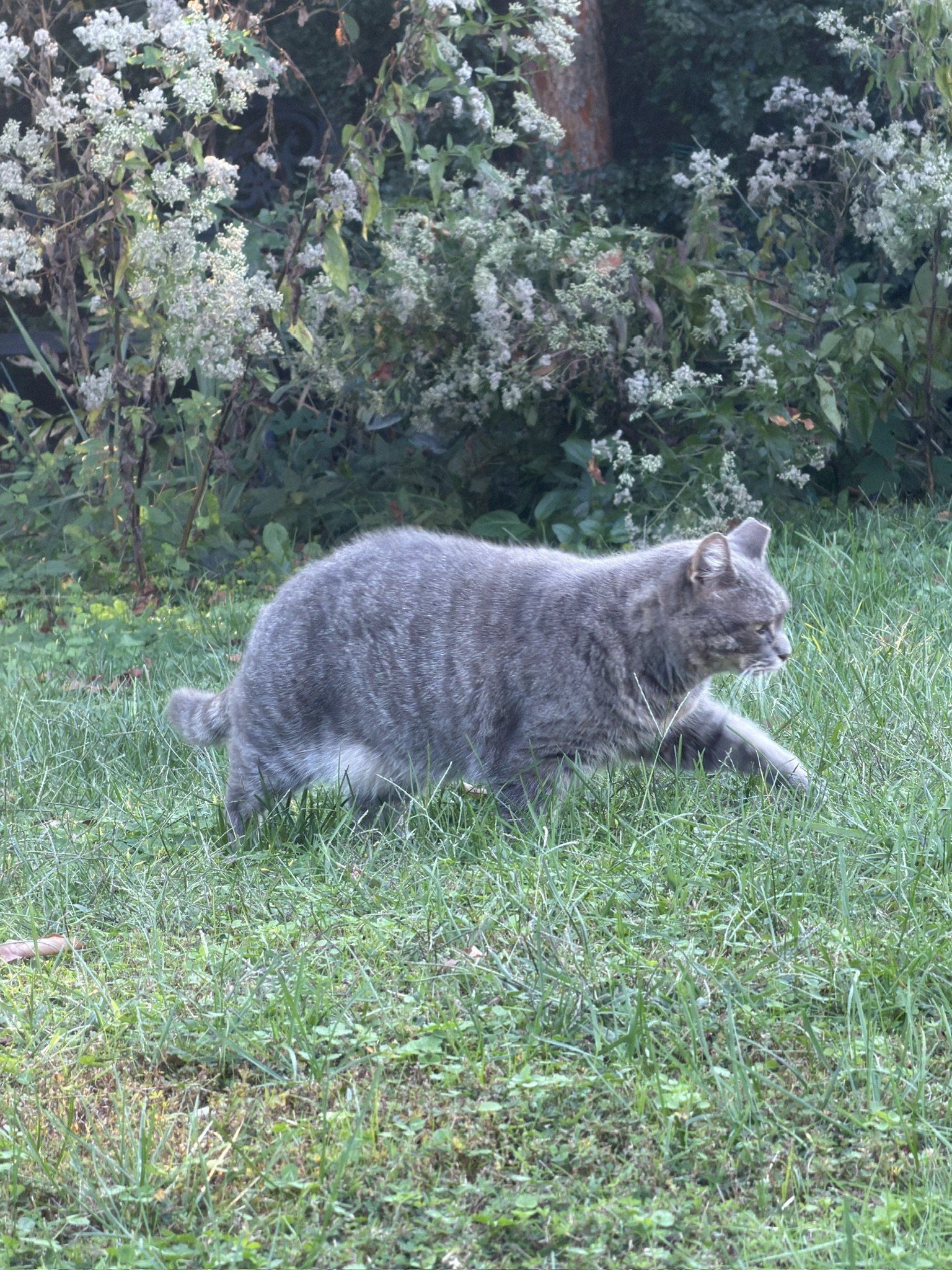 B88512D2-CEDF-4315-96D5-32F5589769A9_1_102_o.jpeg