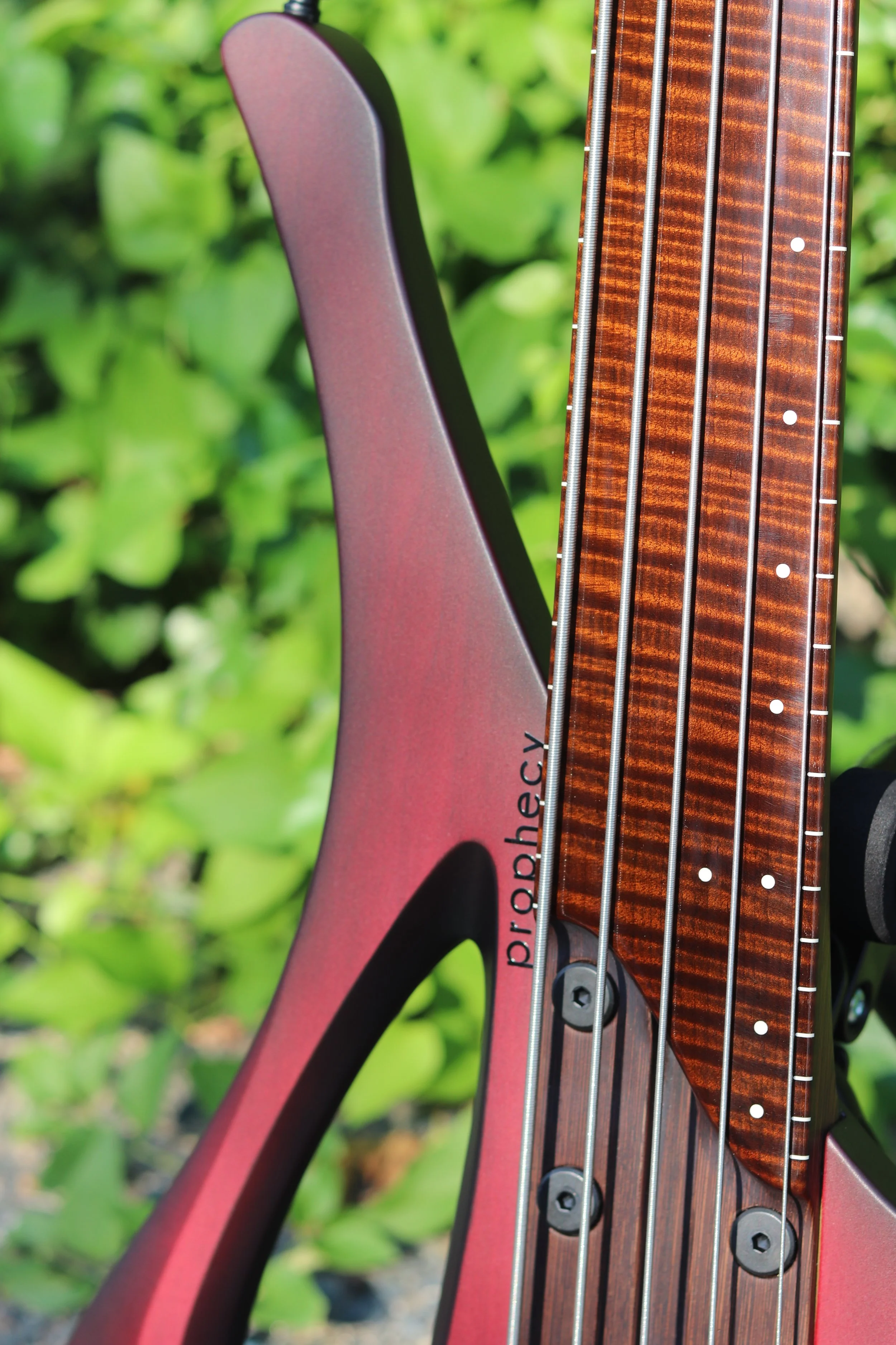 Plasma — Prophecy Instruments