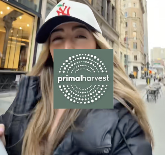 Screenshot 2026-03-13 at 1.48.32 PM.png