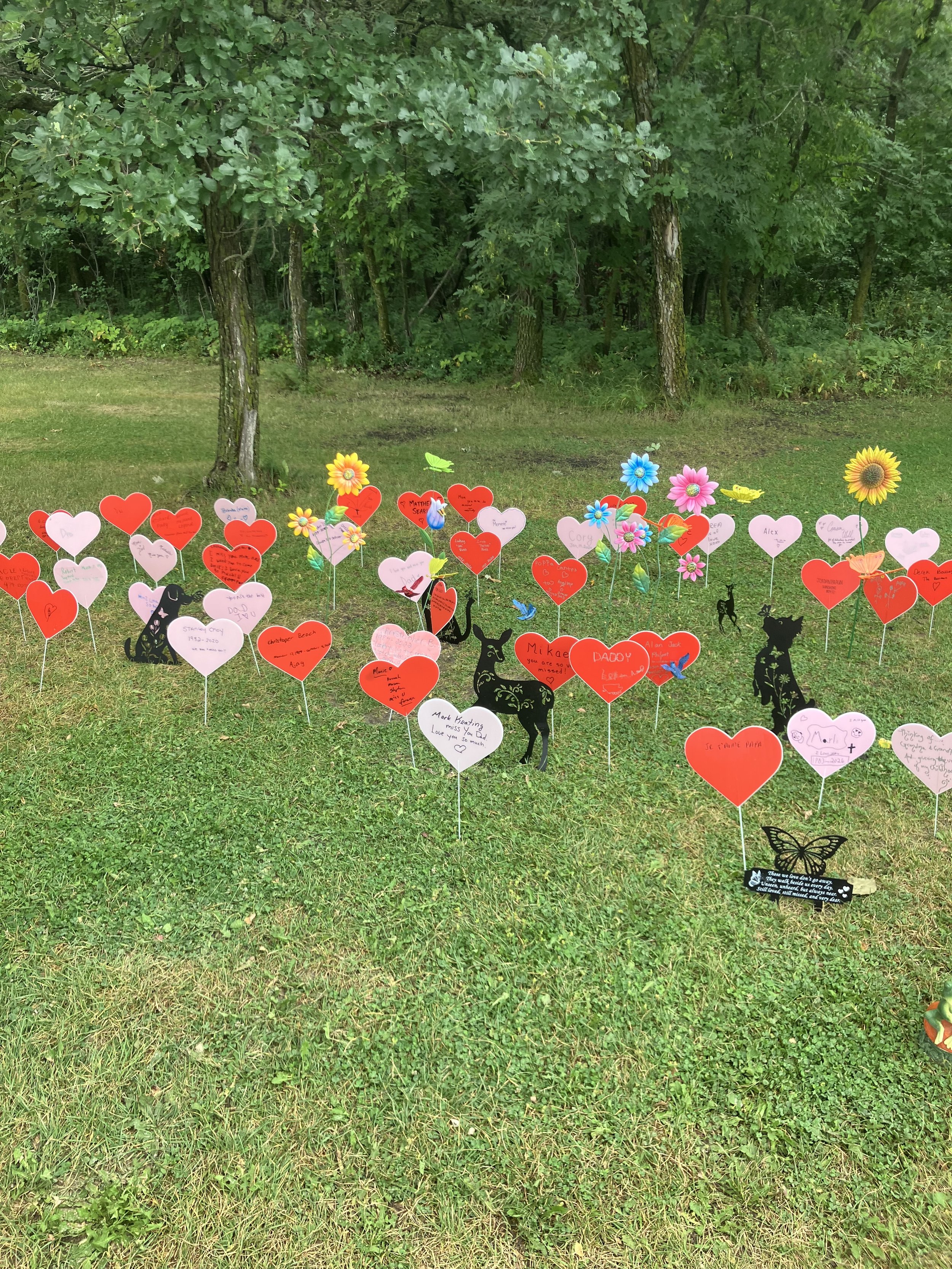 Camp Firefly