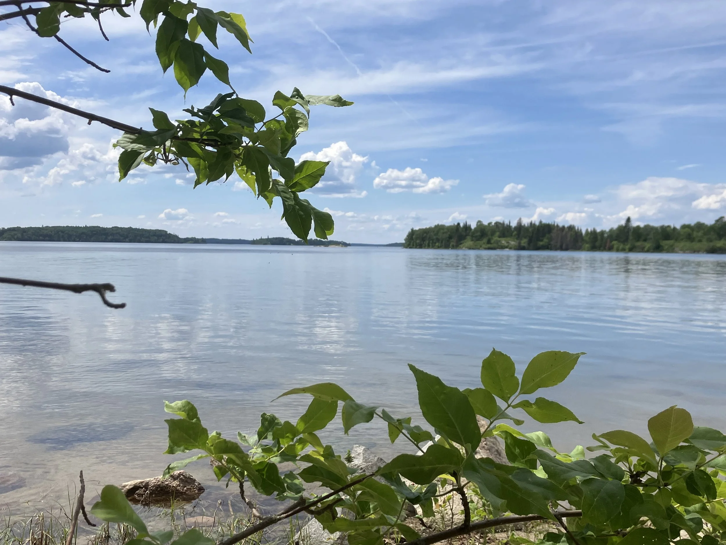 A peaceful lakeside view with green leaves in the foreground, calm water, and a partly cloudy sky.
