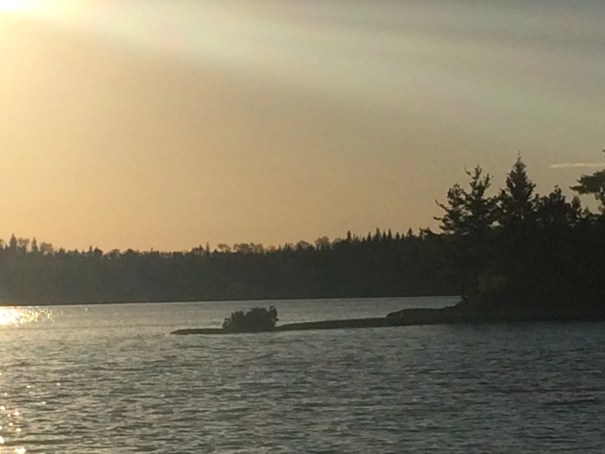 Sunset over a lake with pine trees on the horizon and calm water reflecting the sky.