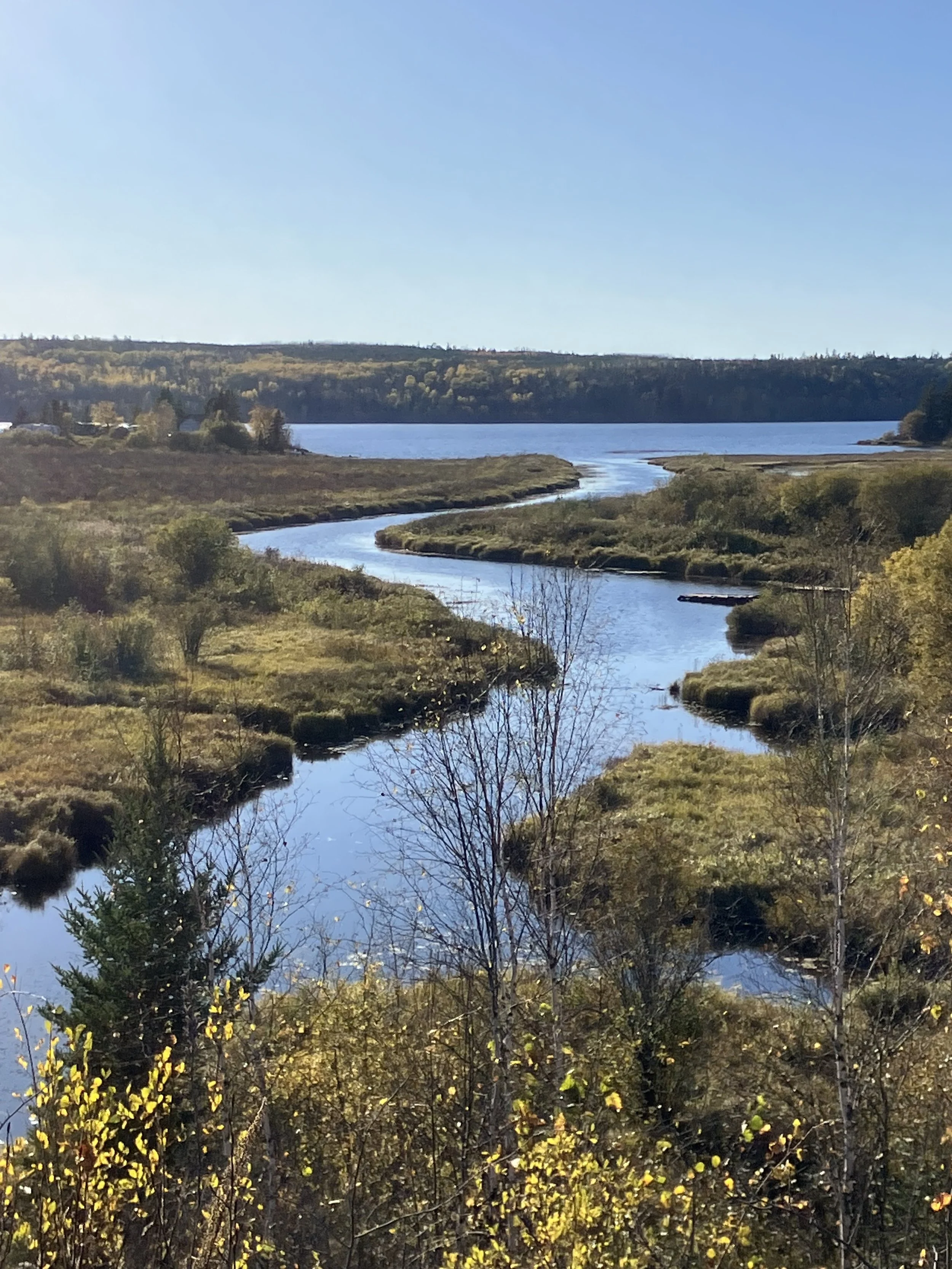 stream flowing through yellow reads to a lake surrounded by fall colours
