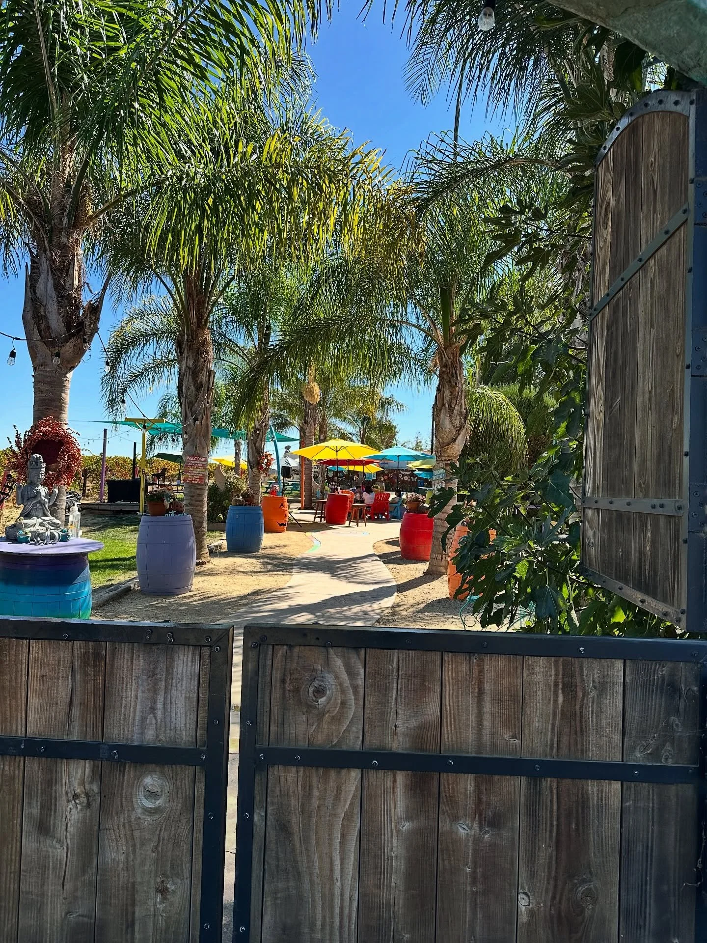 I’ll see you at Satori today from 1:30-4:30pm π· 
Enjoy classic tunes and soulful vibes! Plus, handcrafted pizzas will be available for purchase onsite.