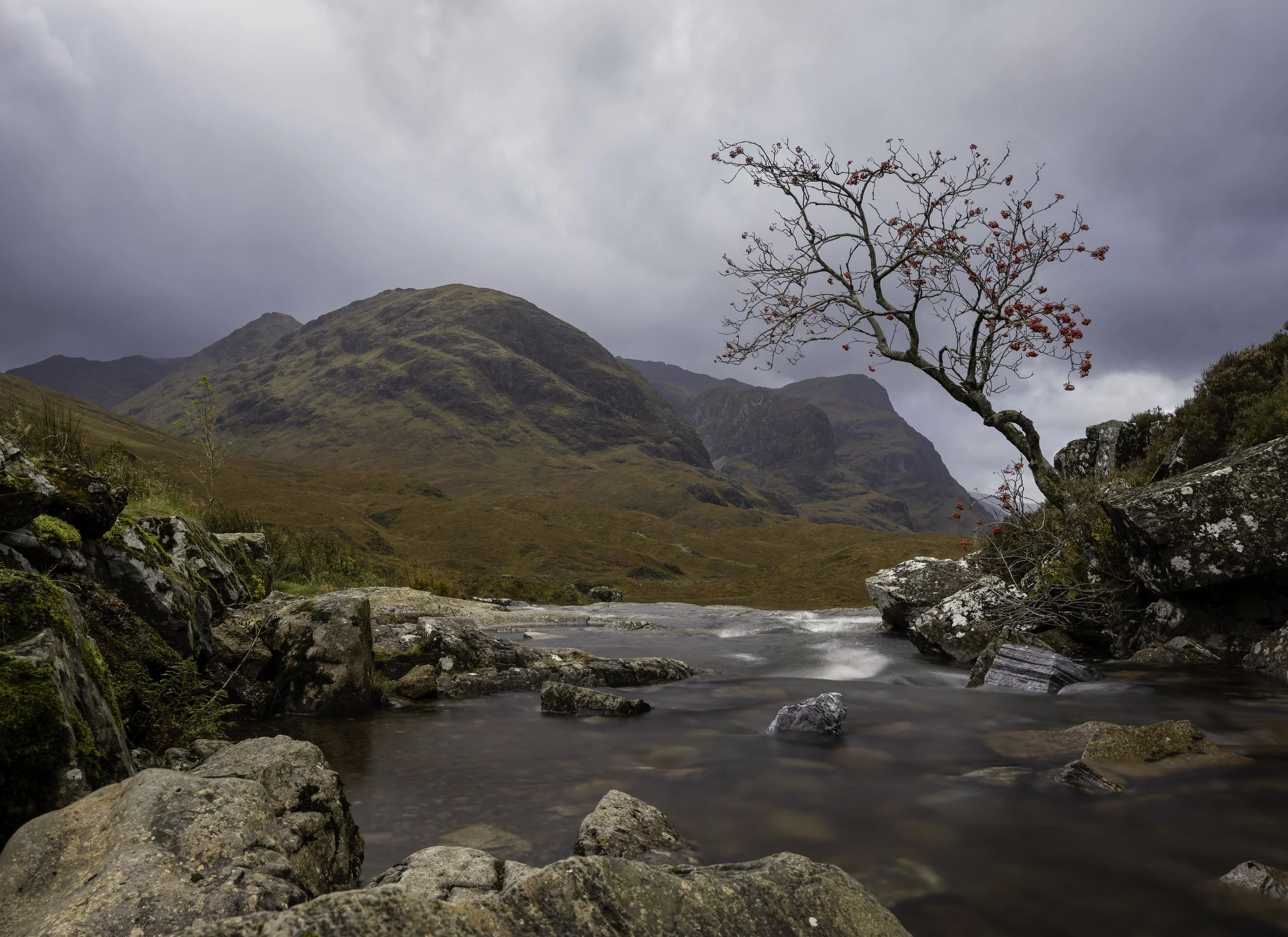 2410_Glencoe_116-Edit-2-Edit-Edit.jpg