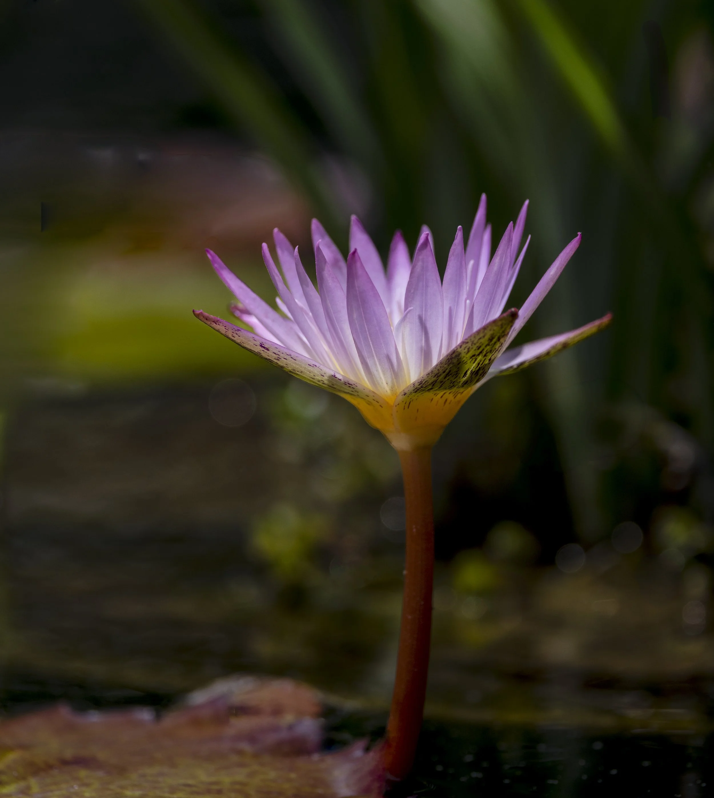 2605_Longwood_093-Edit.jpg