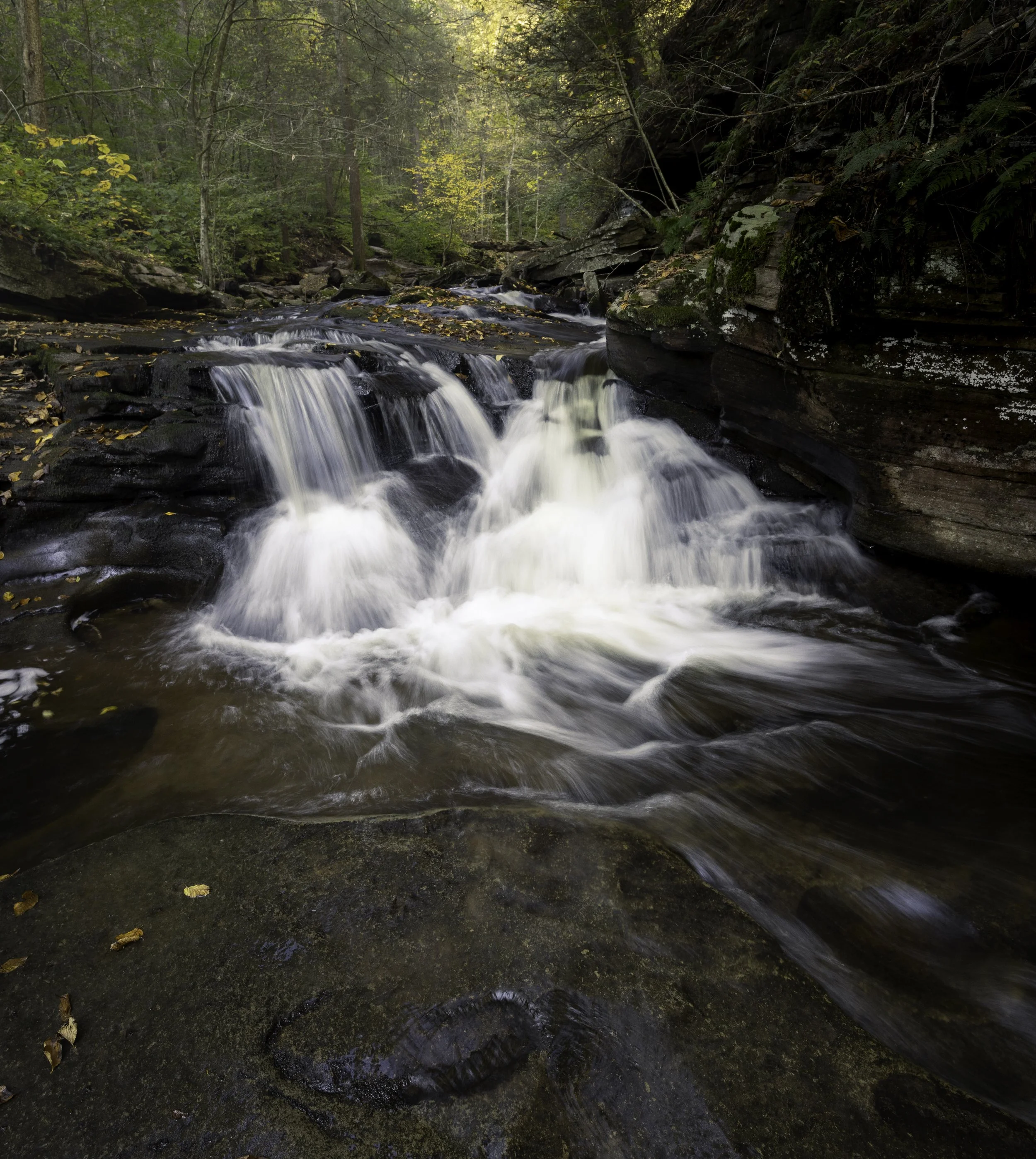 2509_Ricketts_Glen_031.jpg