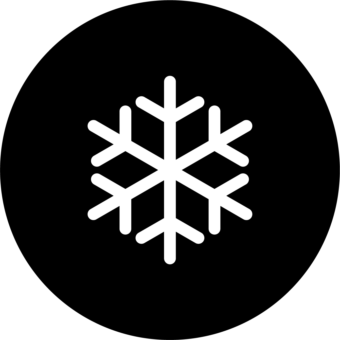 Be prepared for a Winter Storm