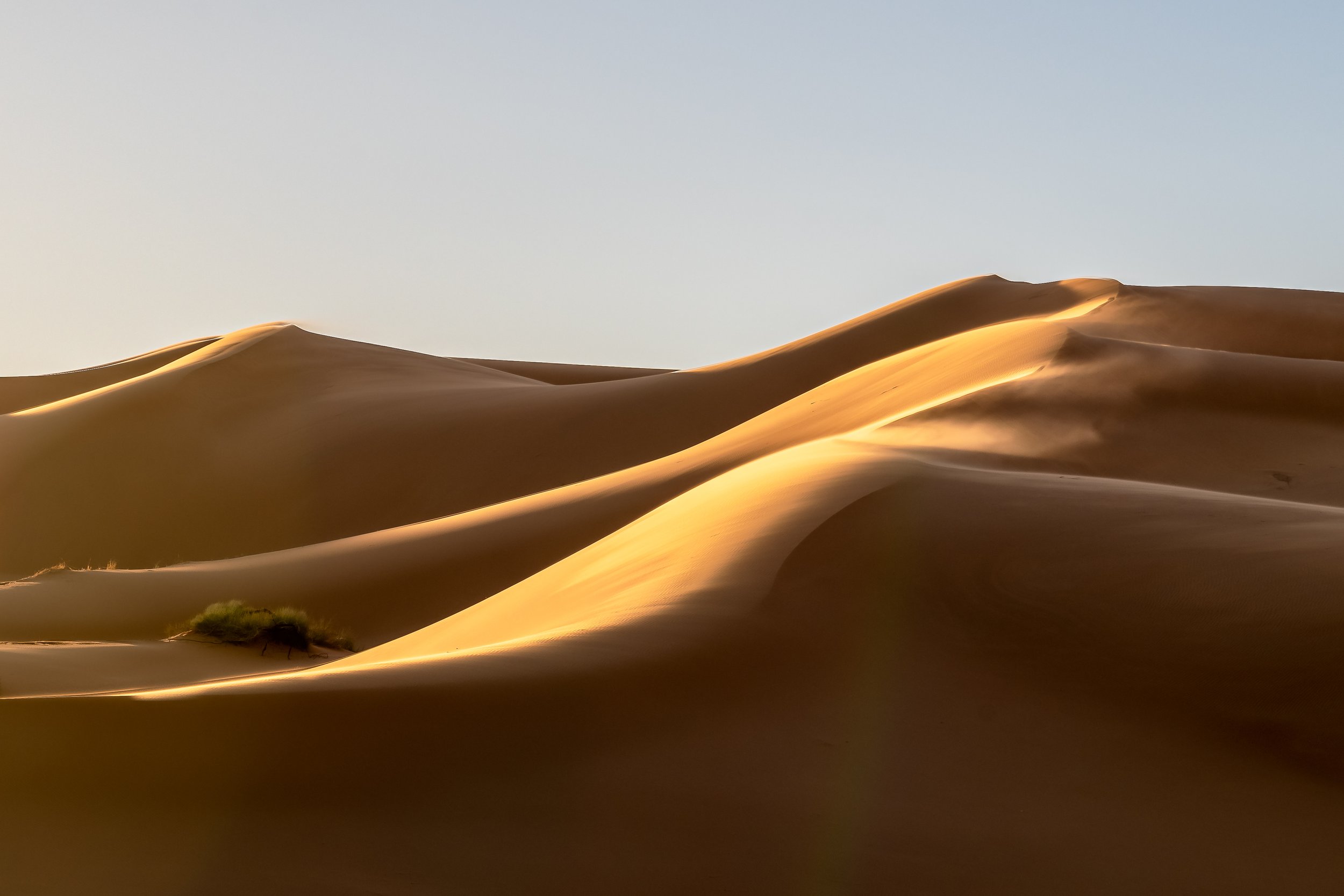 Sahara 32.jpg