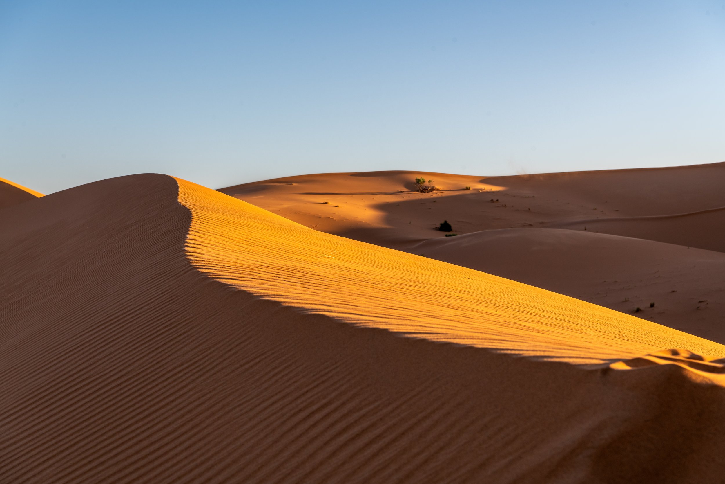Sahara 33.jpg