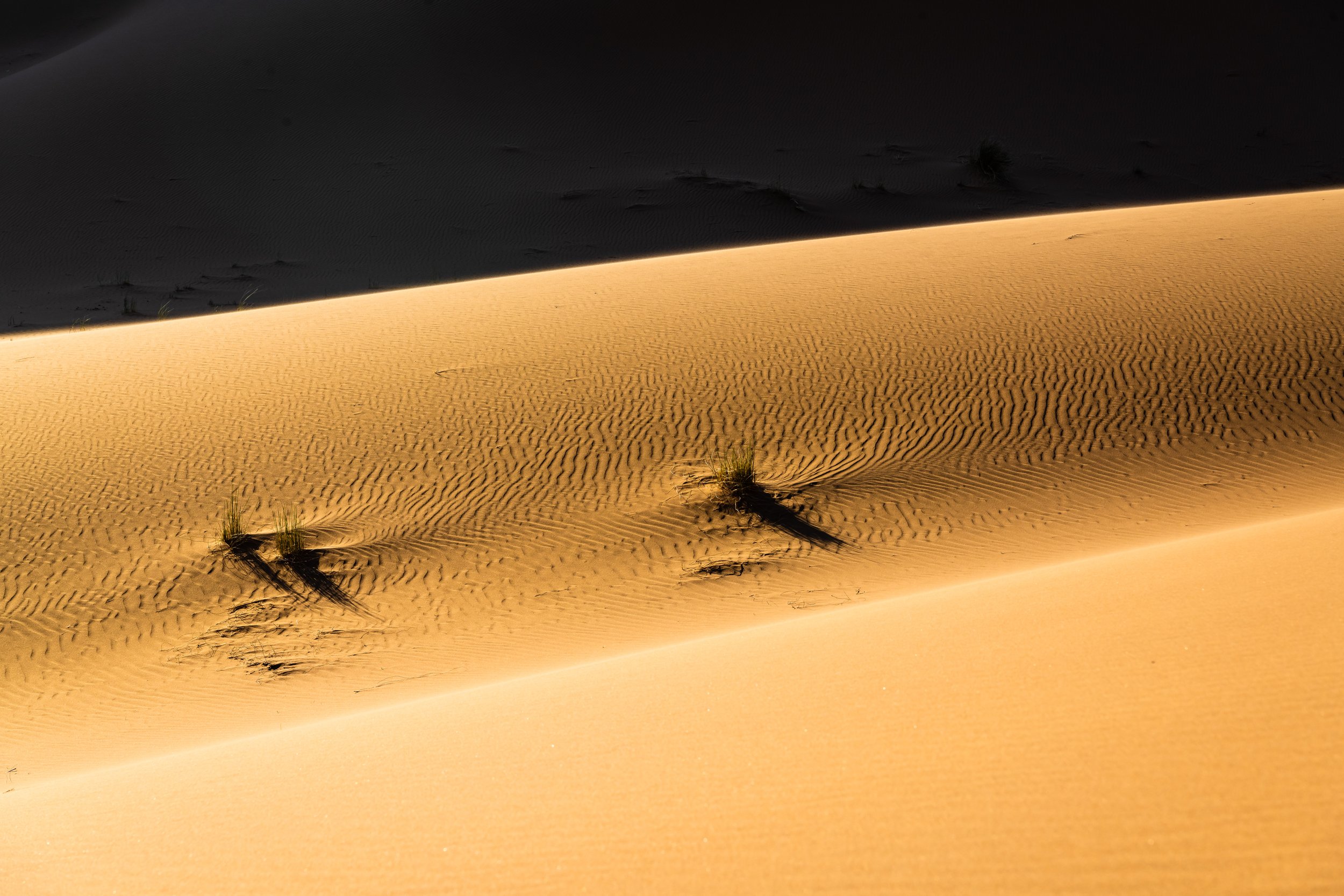 Sahara 47.jpg