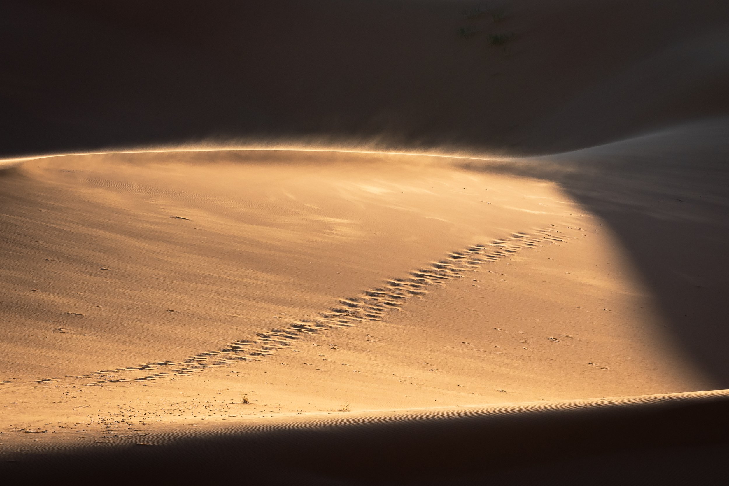 Sahara 54.jpg