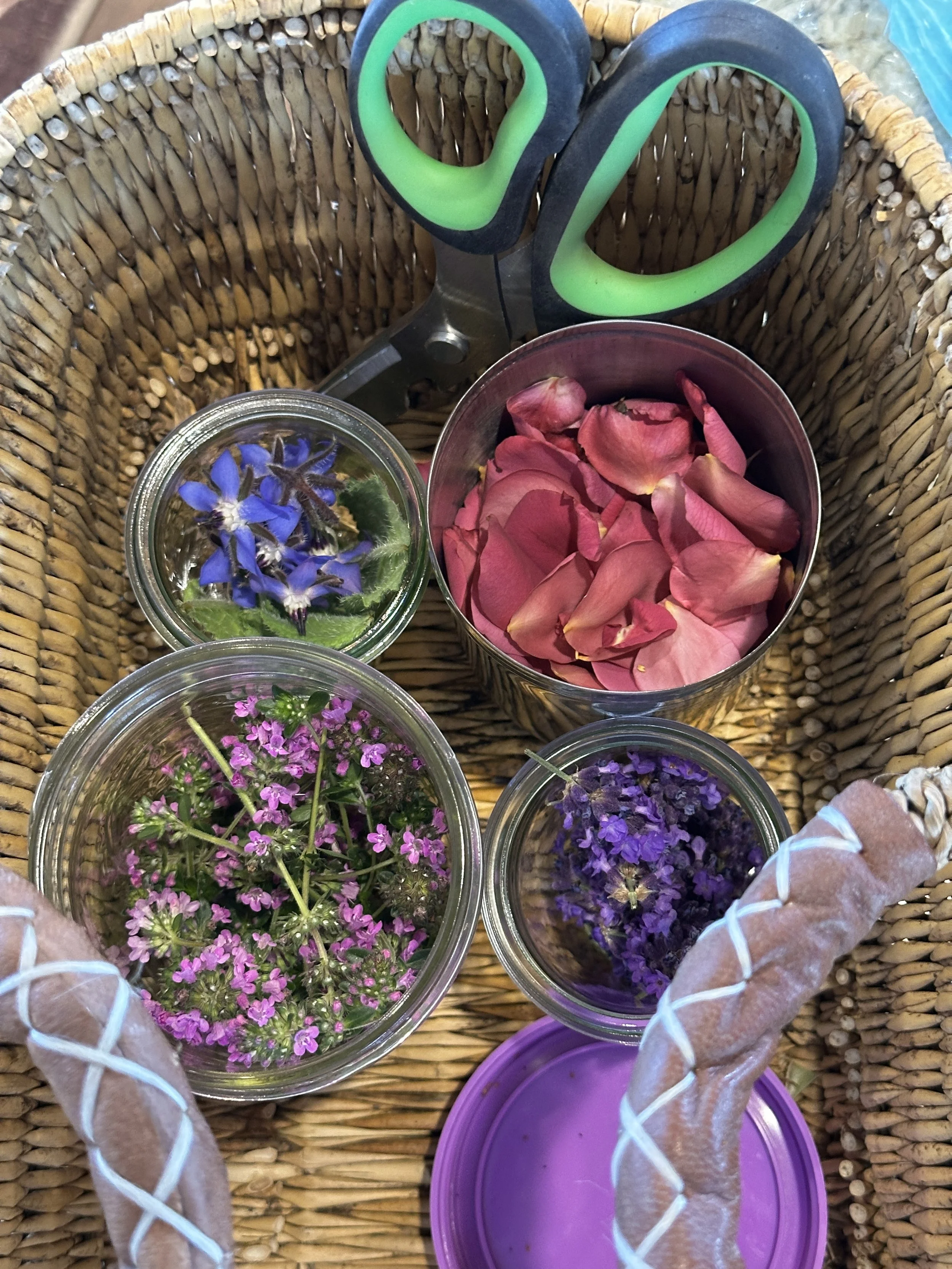 Herbalism experiments