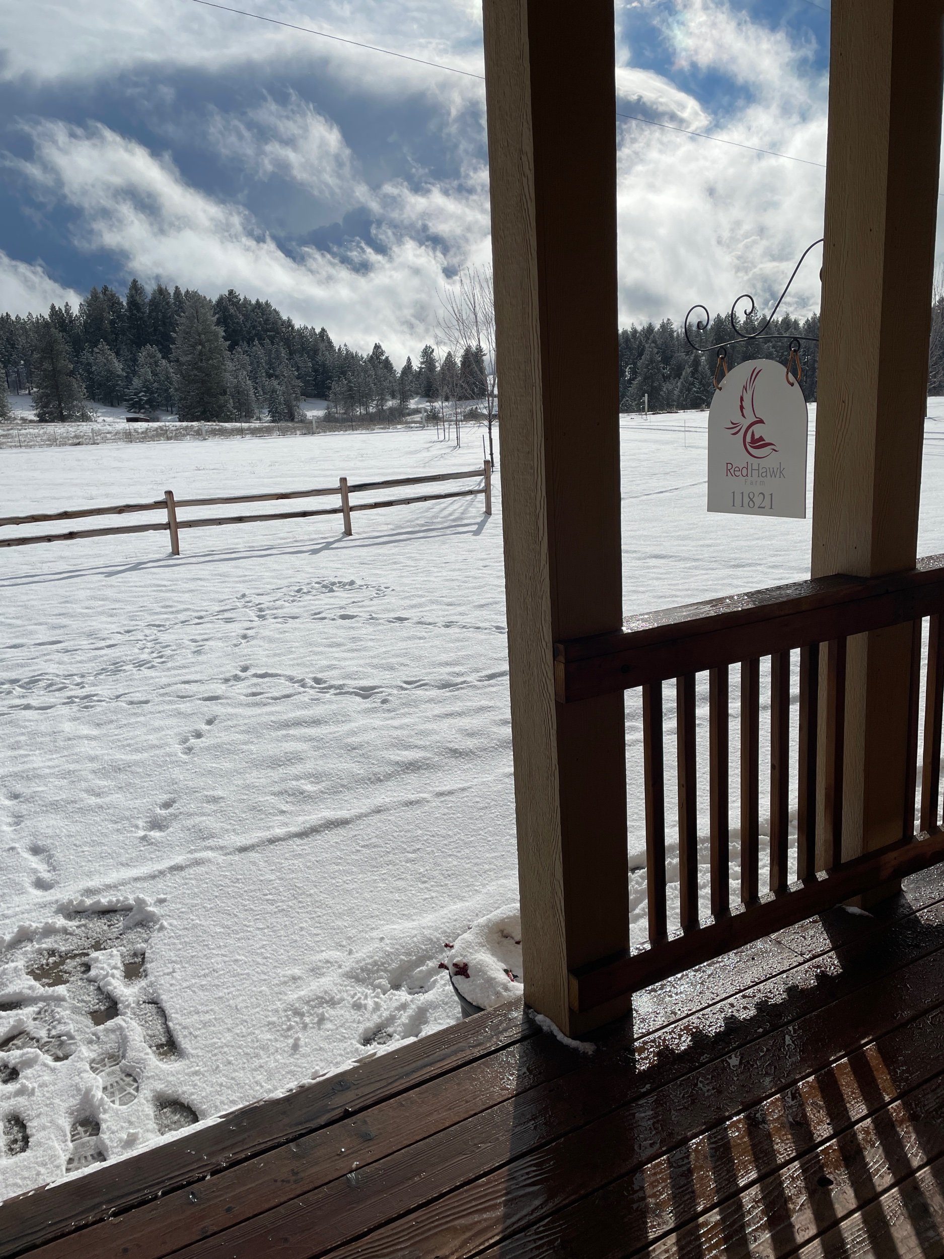 Sunny, snowy afternoon
