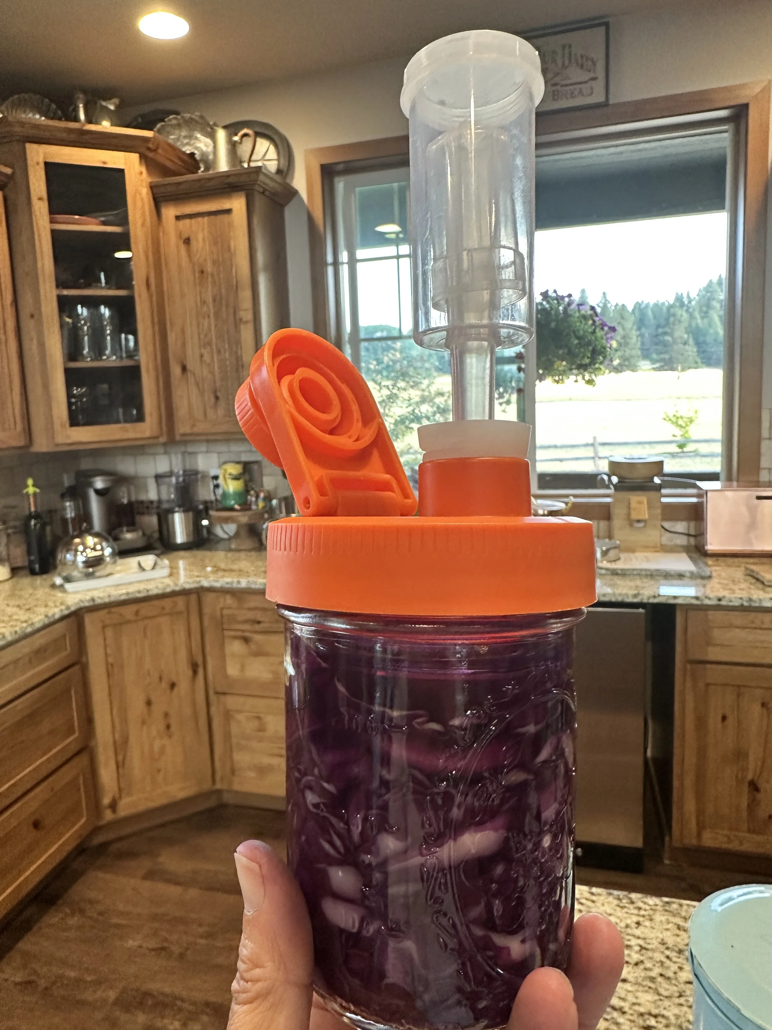 Sauerkraut time