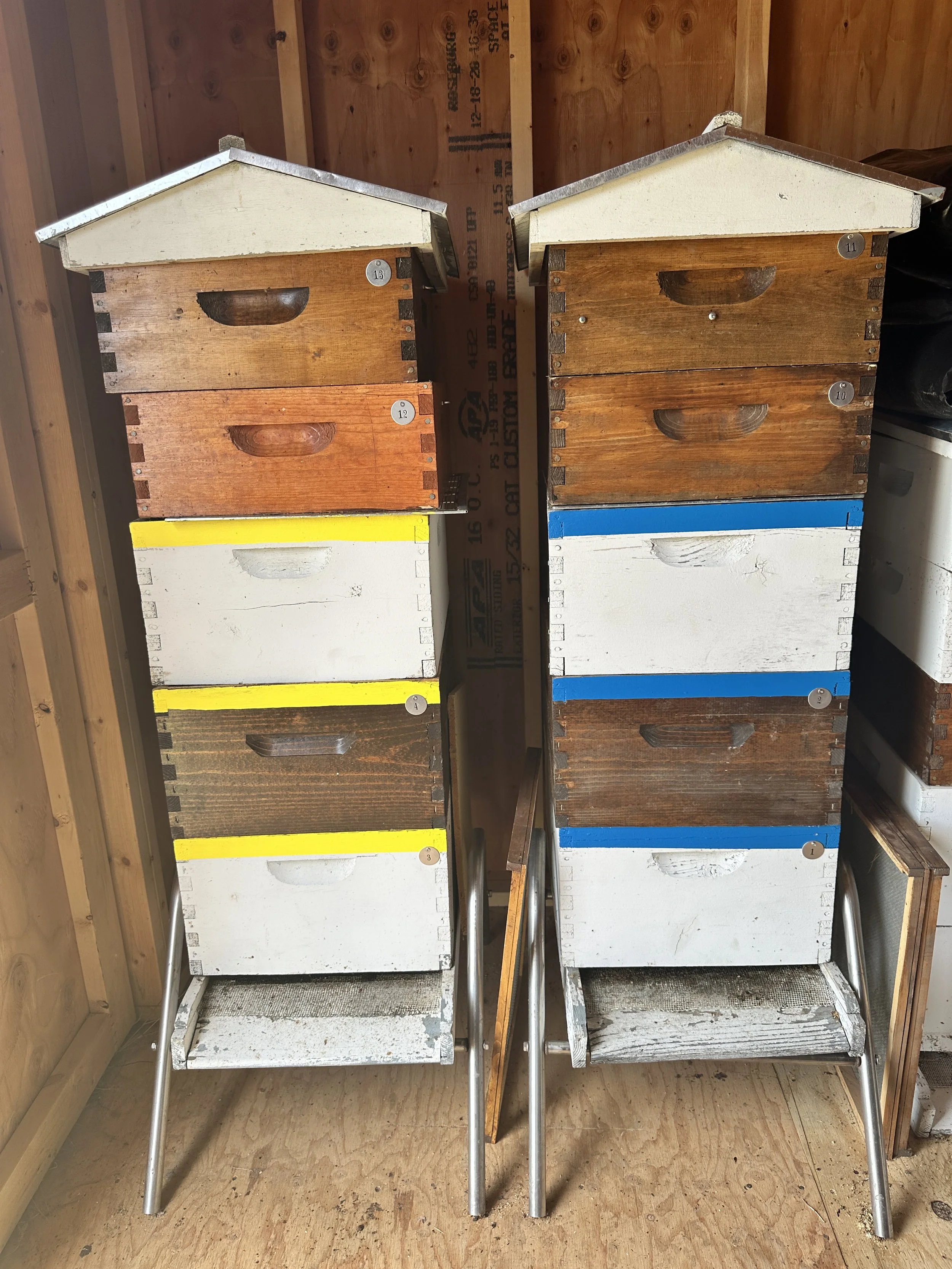 Equipment planning for 2027 apiary
