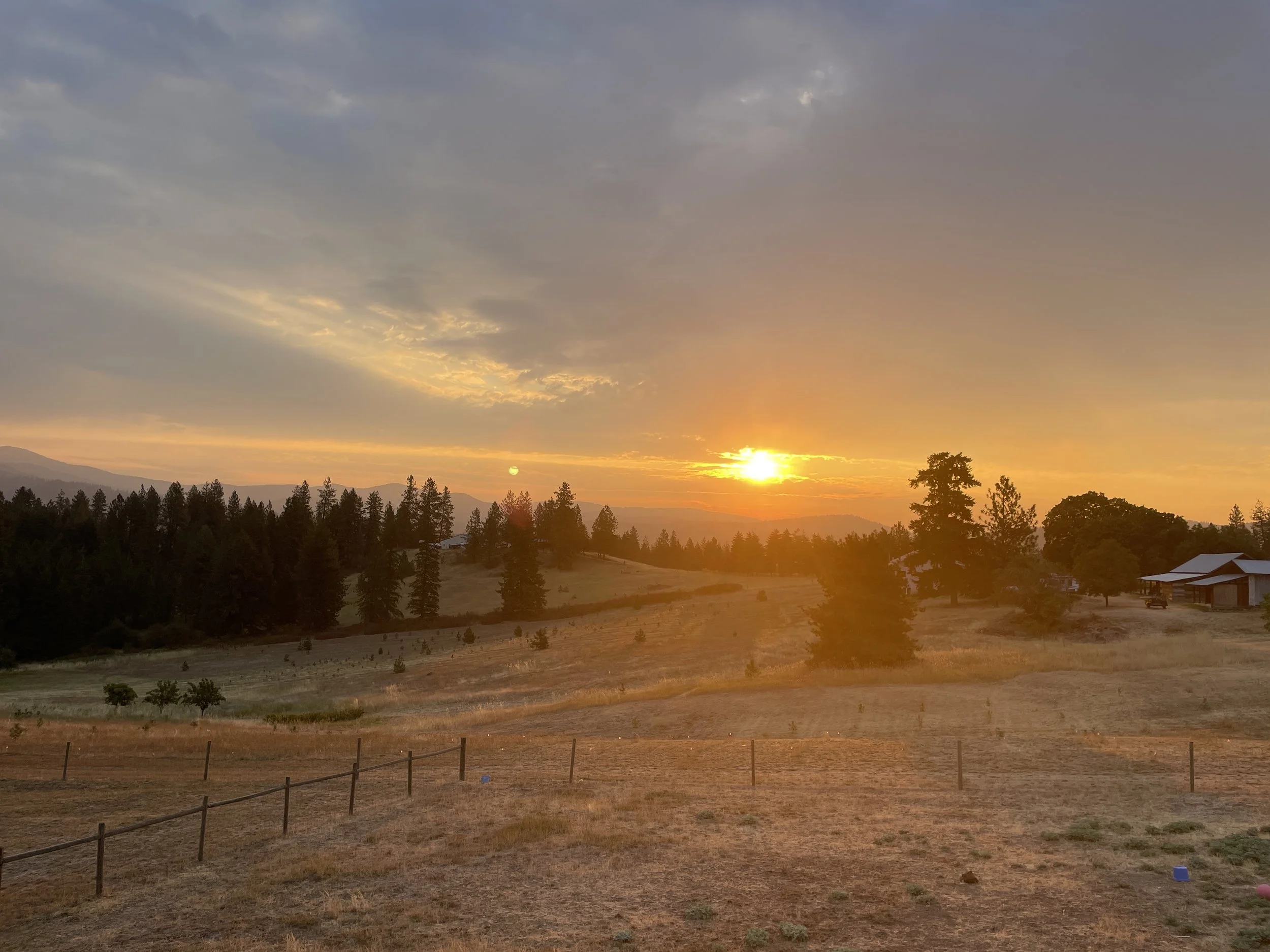 Catching the sunrise