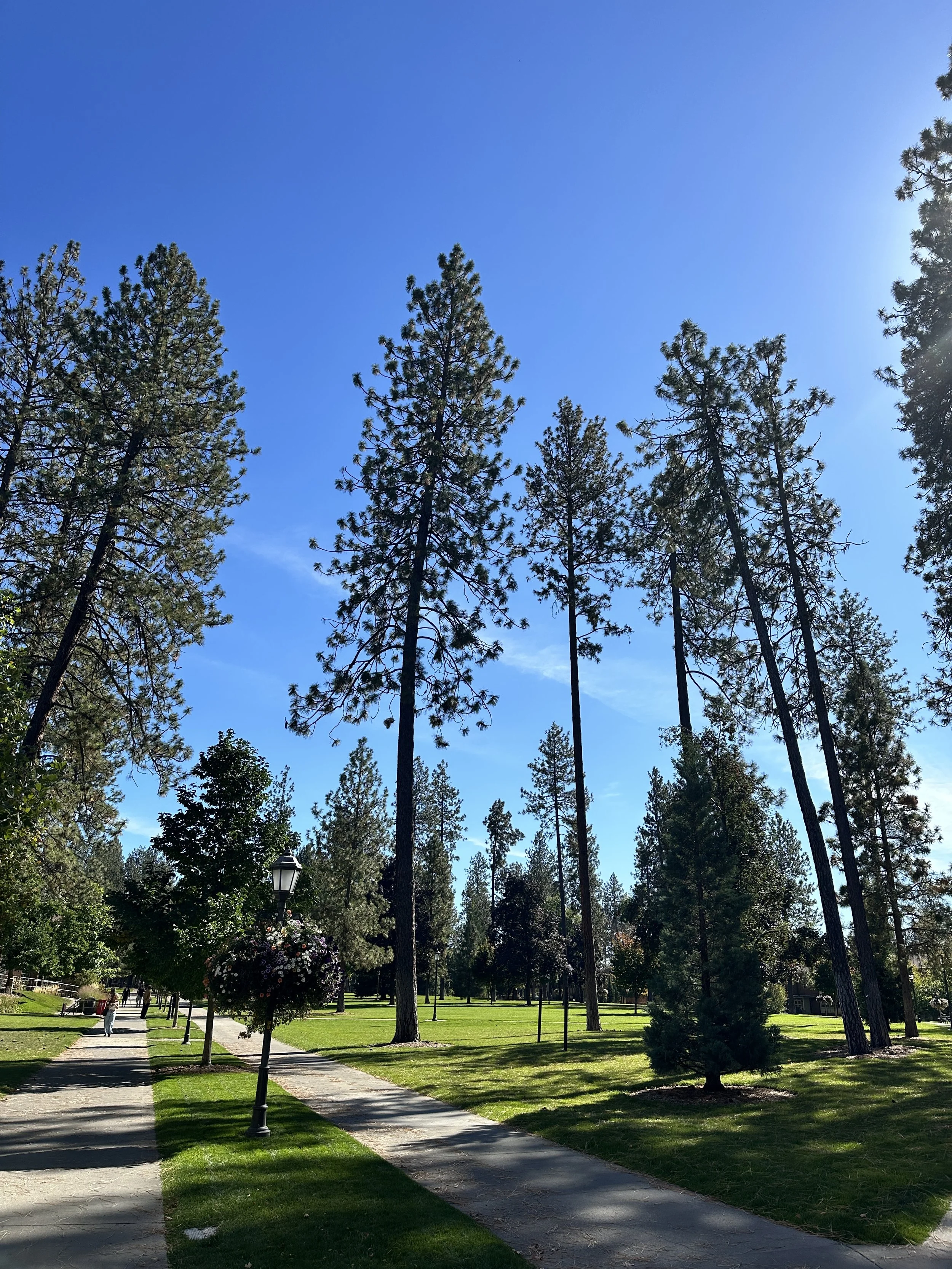 Fall on campus