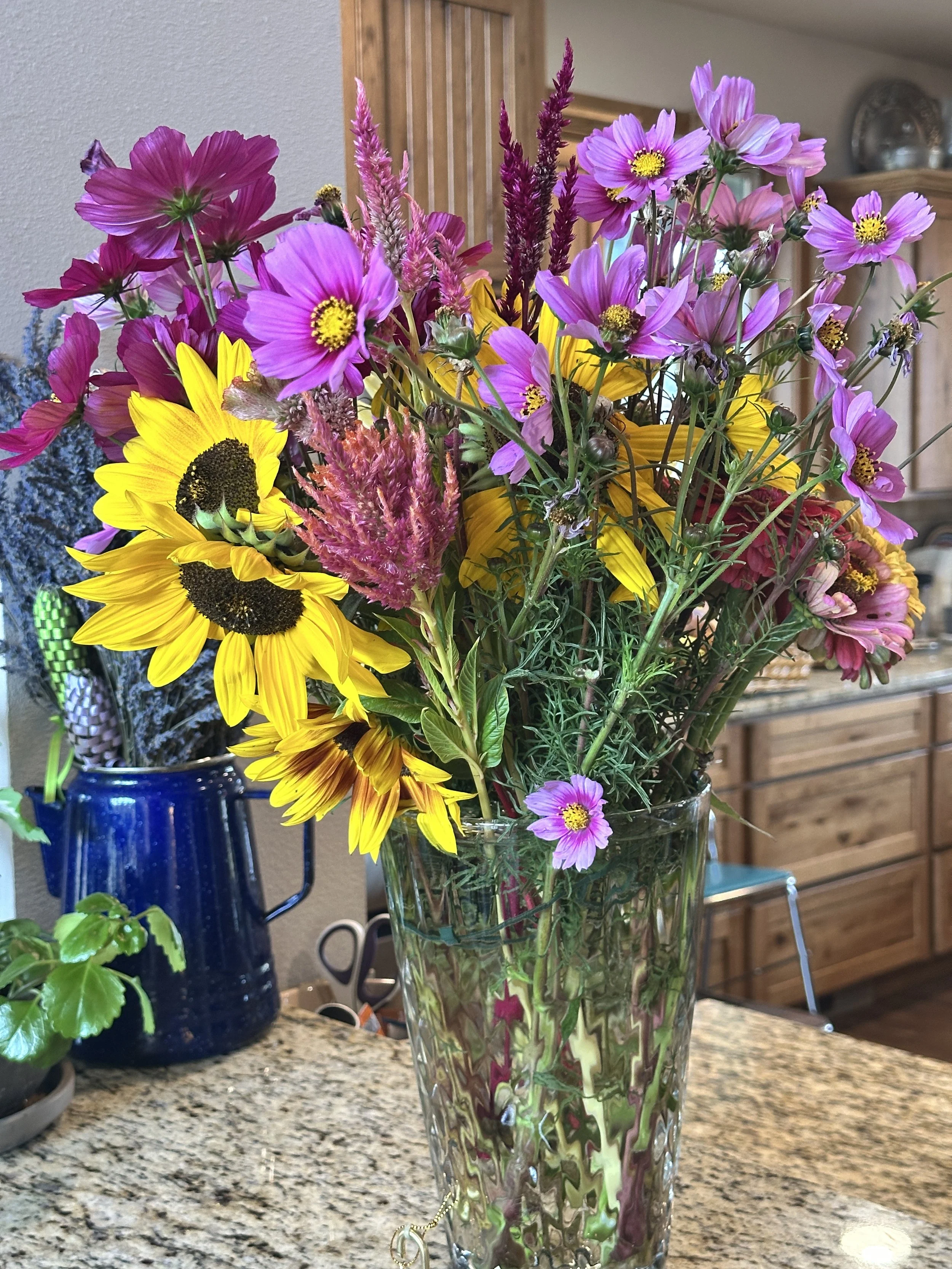 This week’s arrangements 