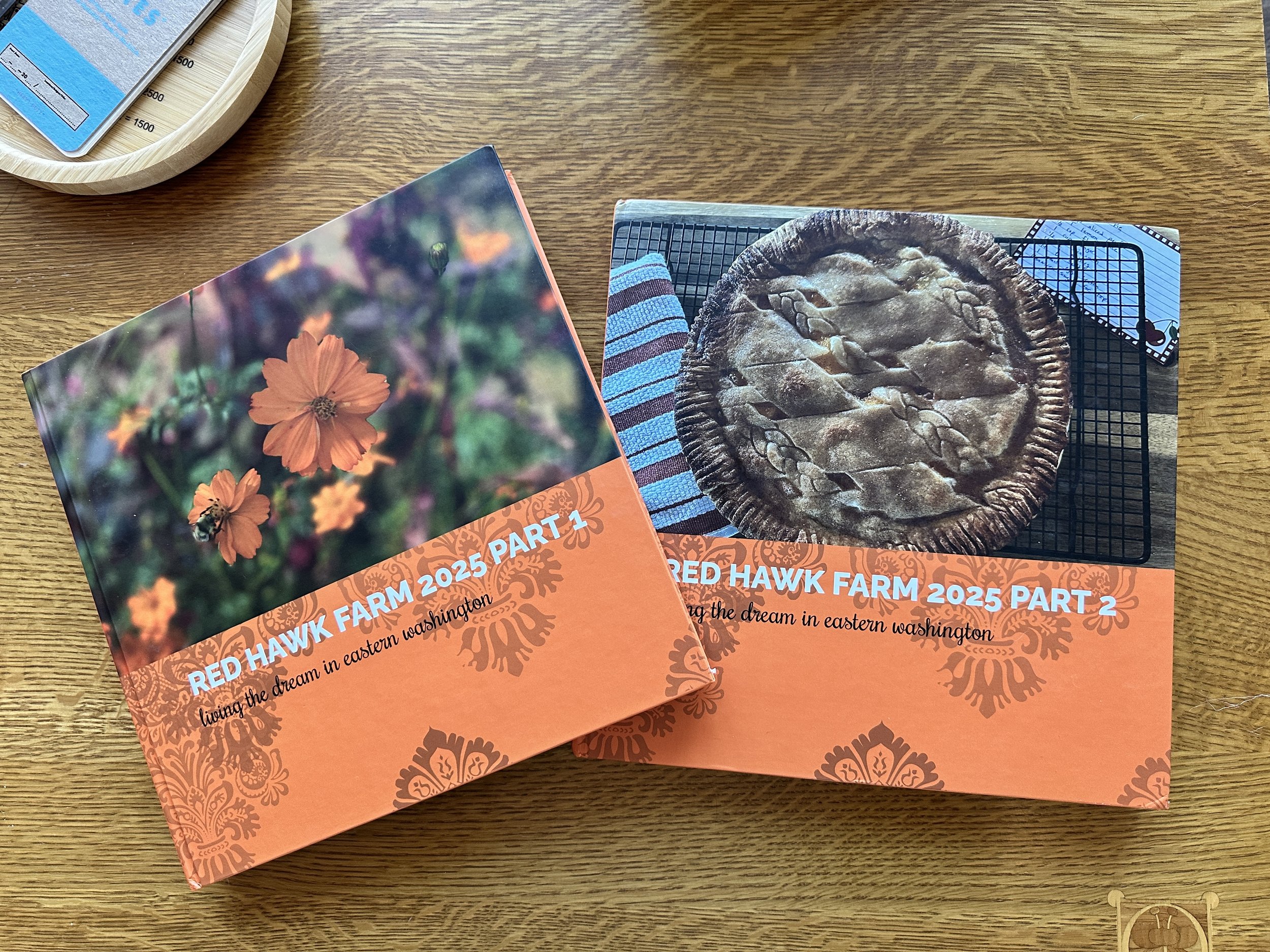 The 2025 blog book(s)