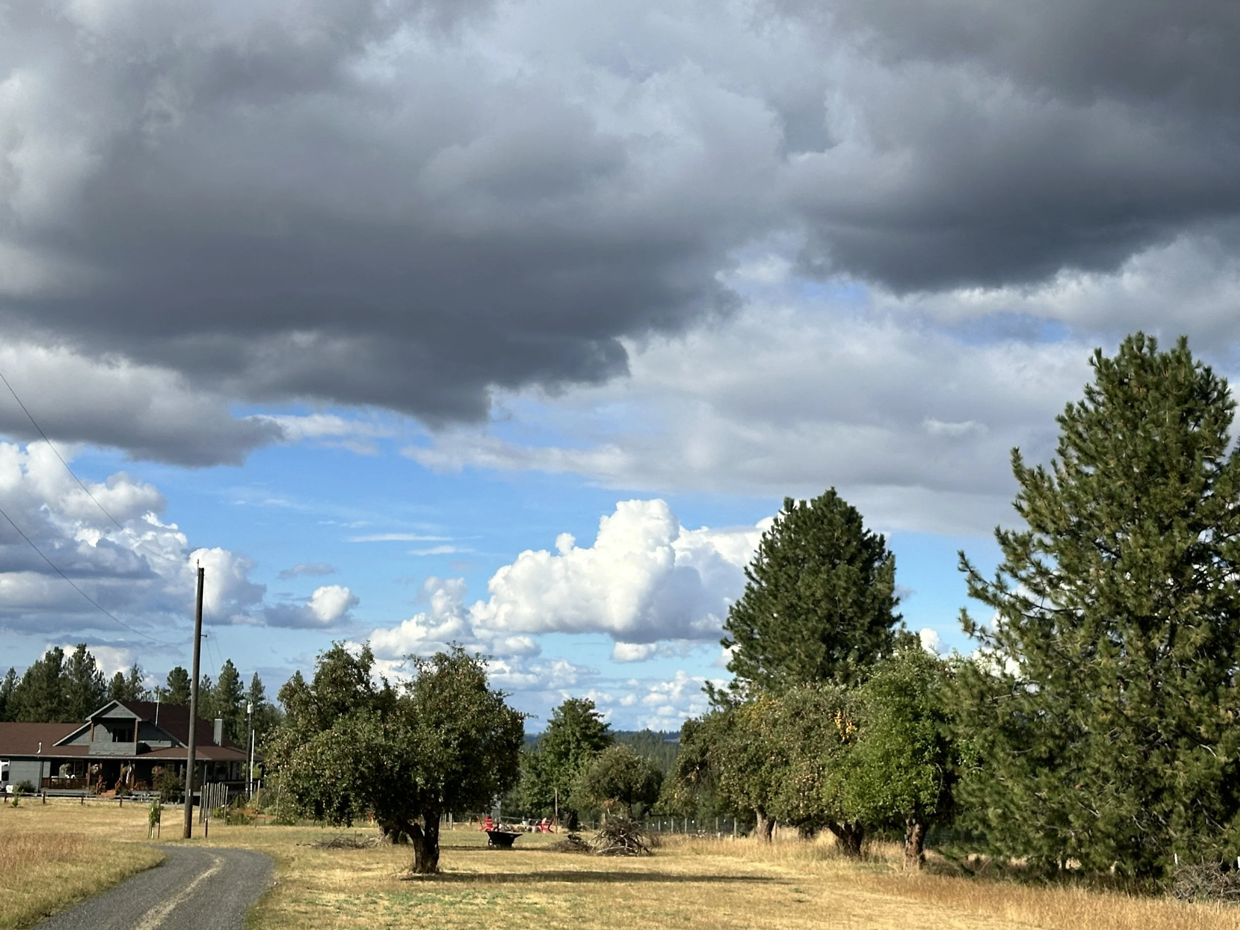 A little rain in our skies