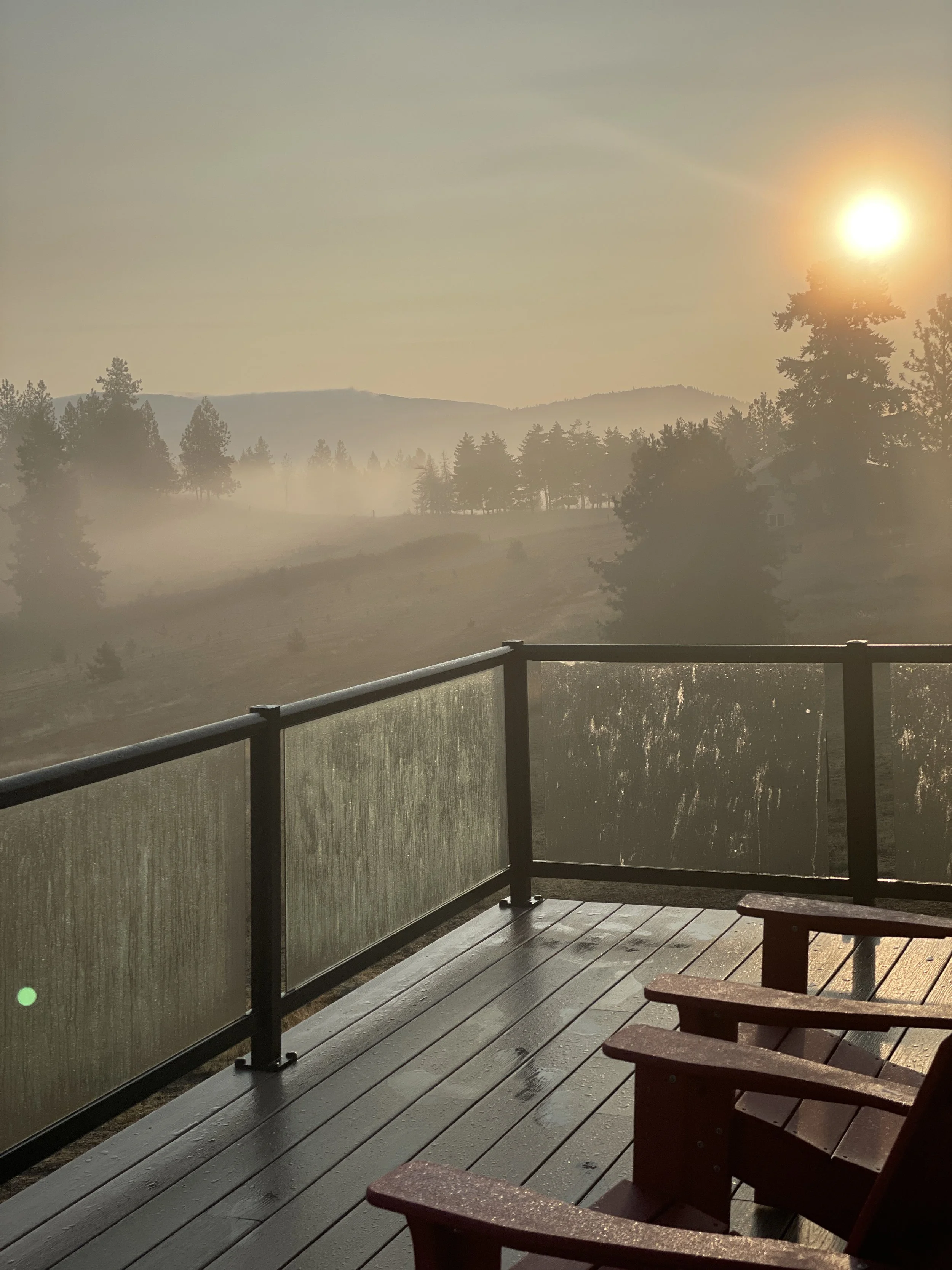 Foggy morning