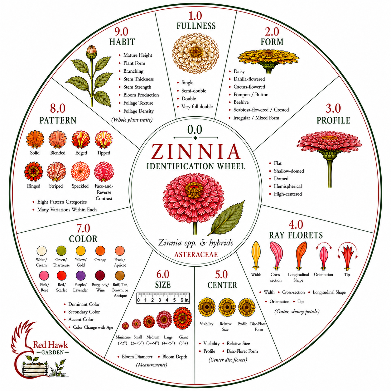 Zinnia show starting