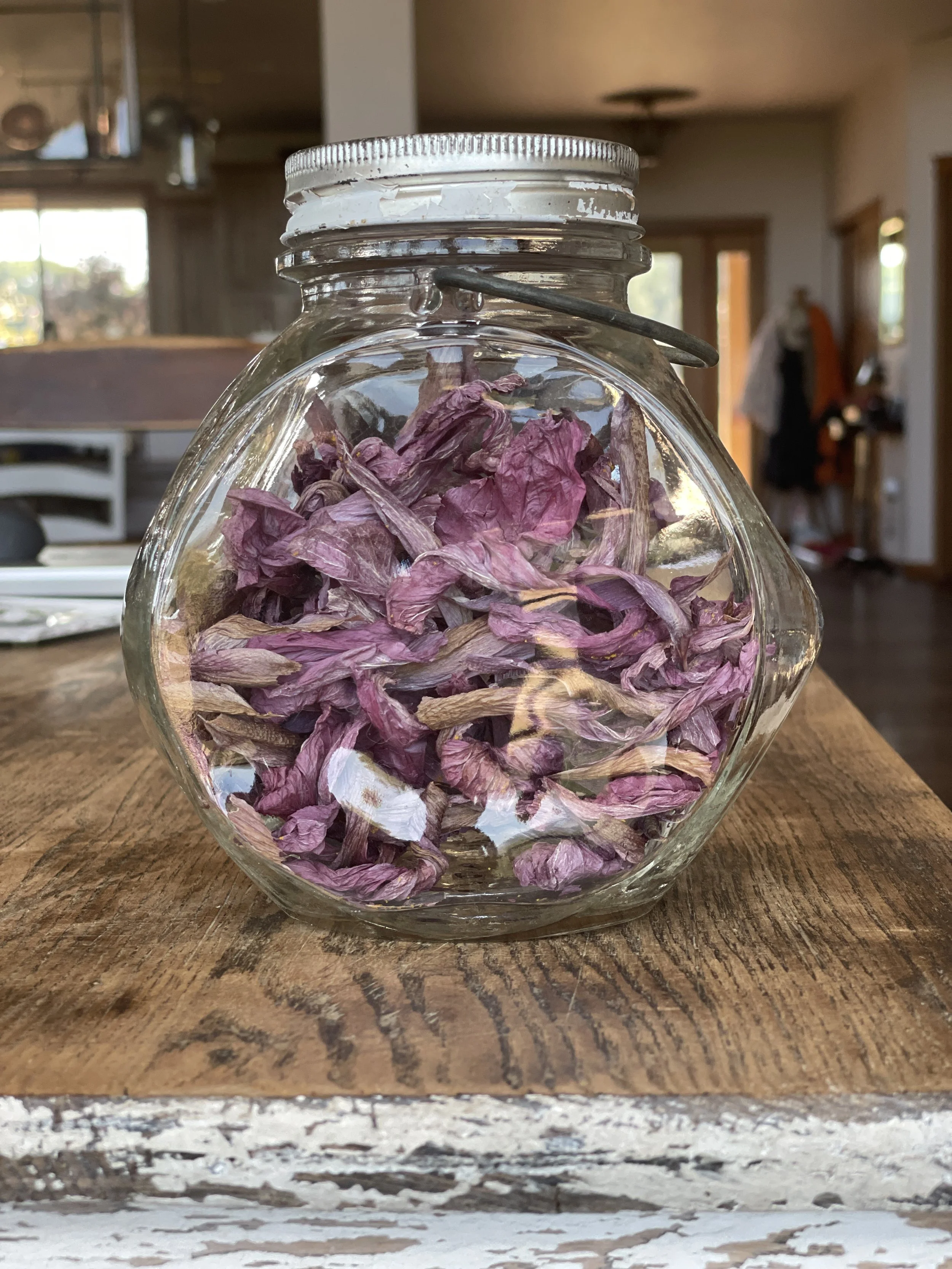 Making hibiscus tea