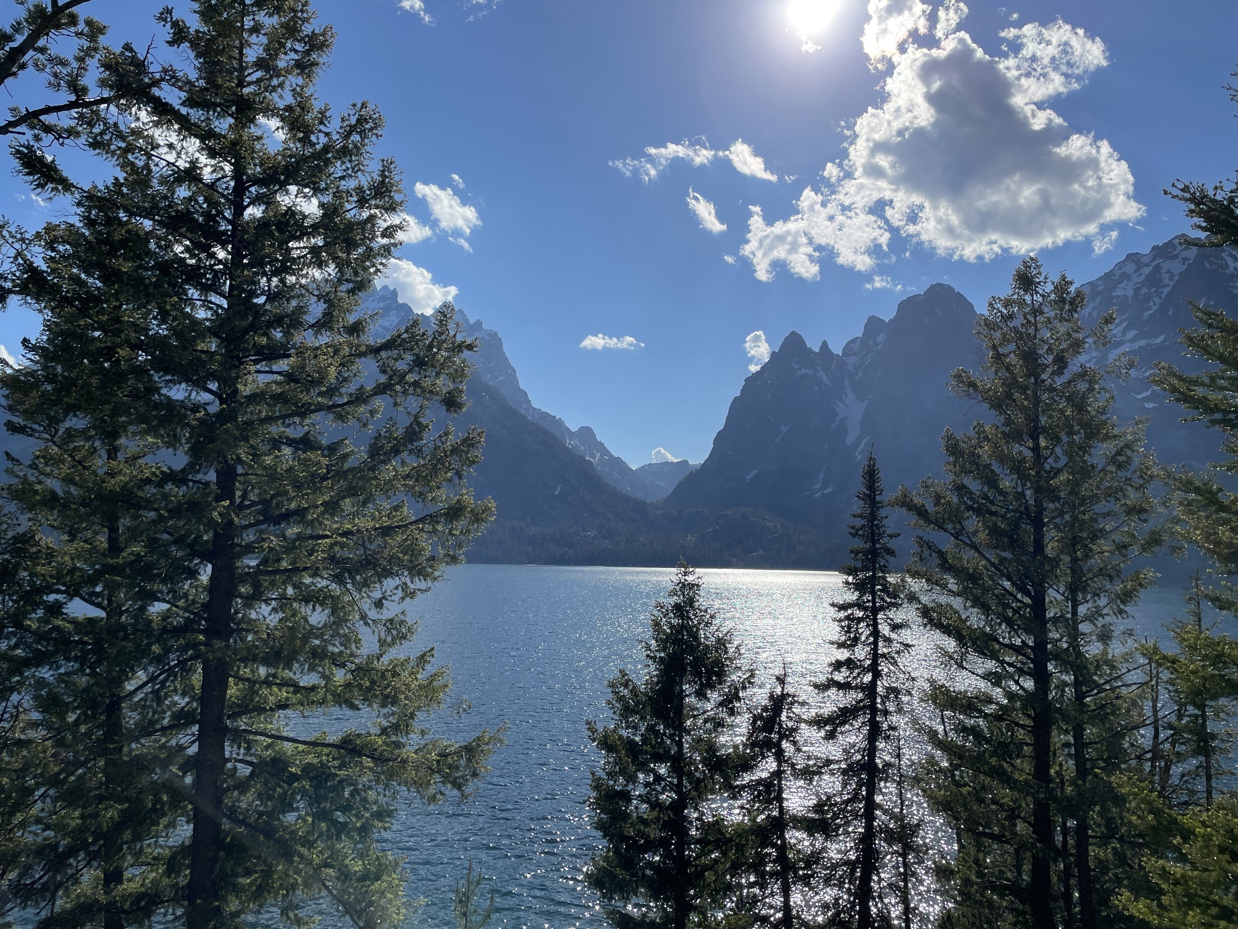 The Grand Tetons