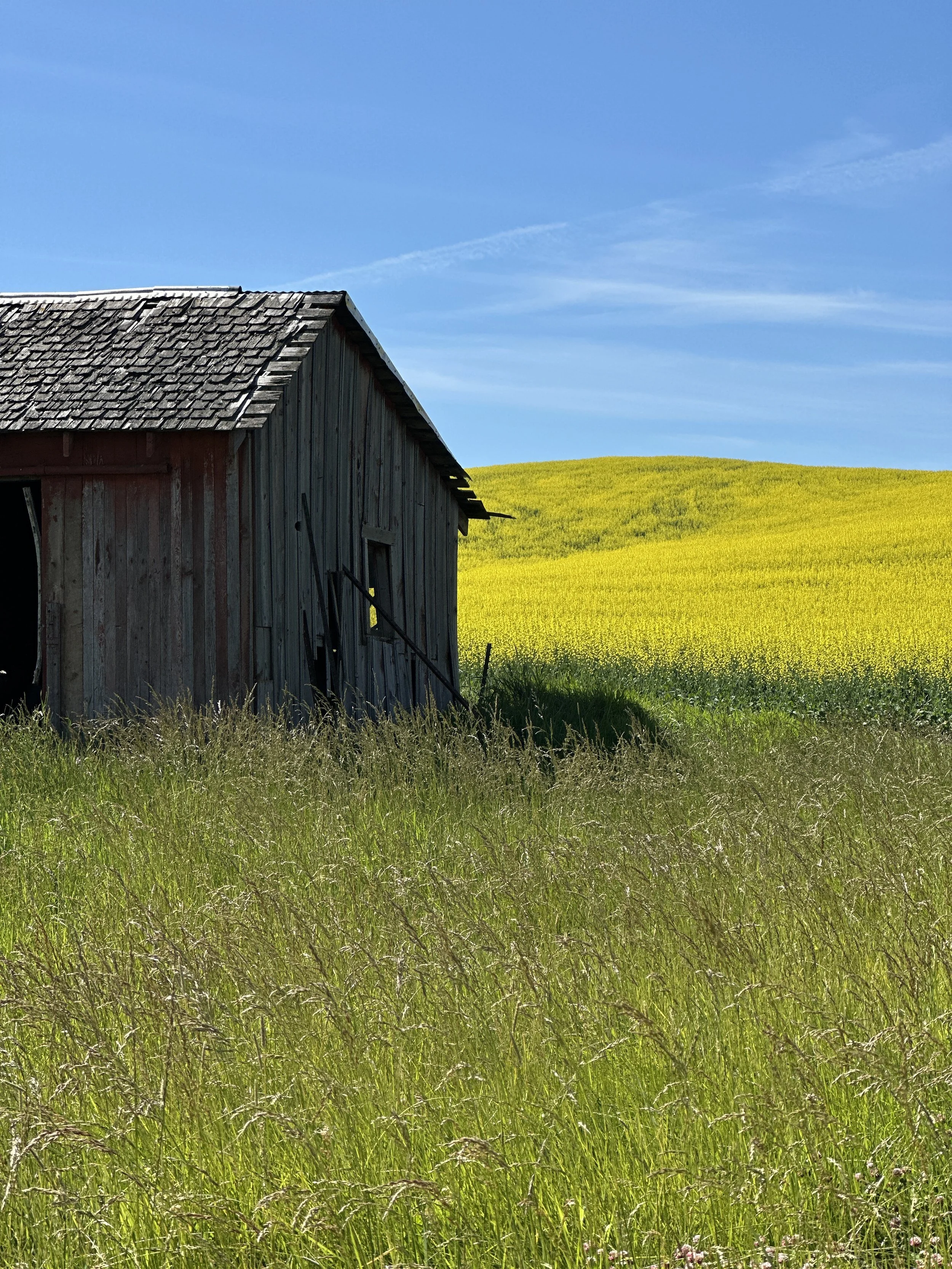 Traveling the Palouse 