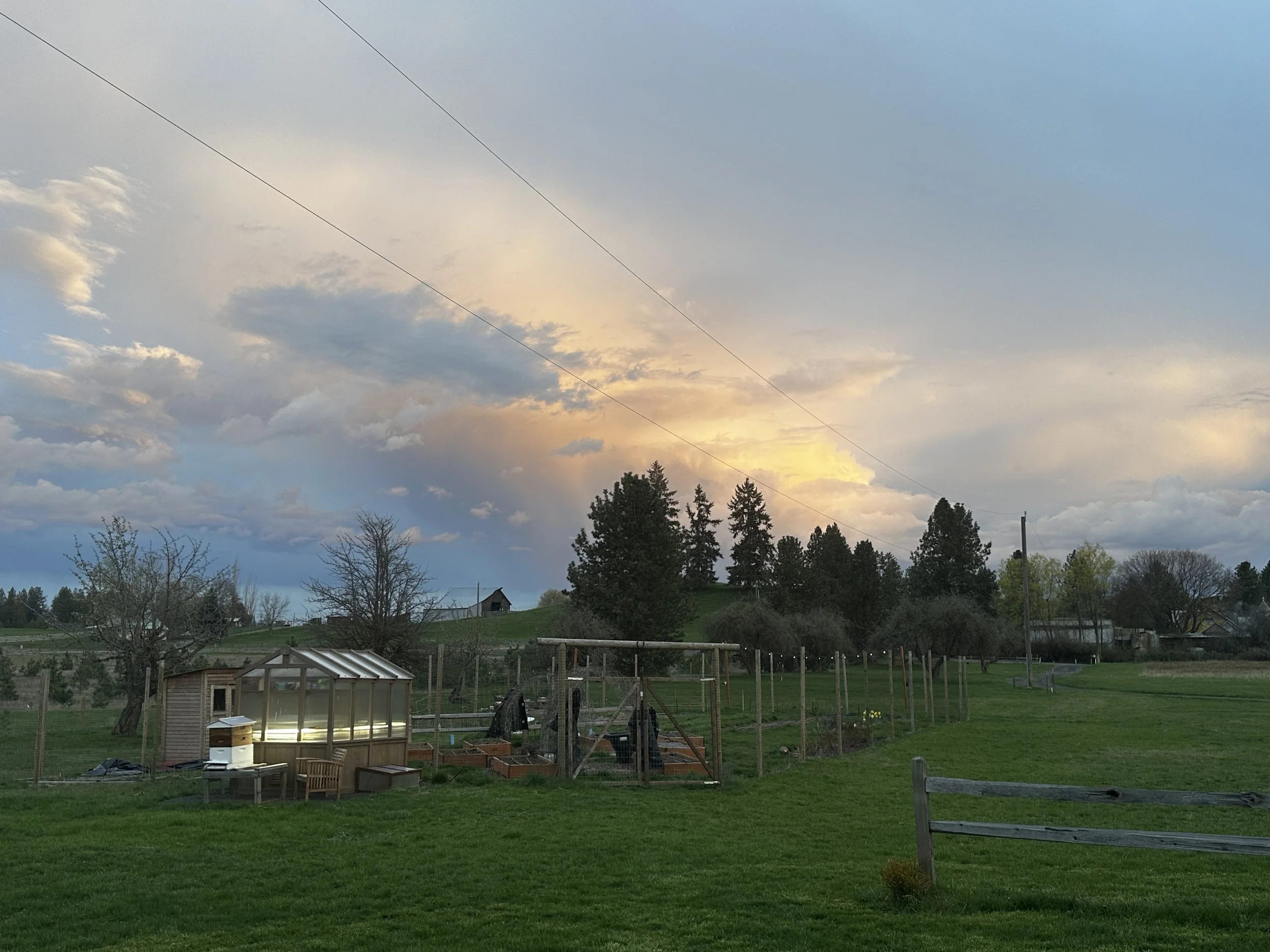 Nice sky for evening chores