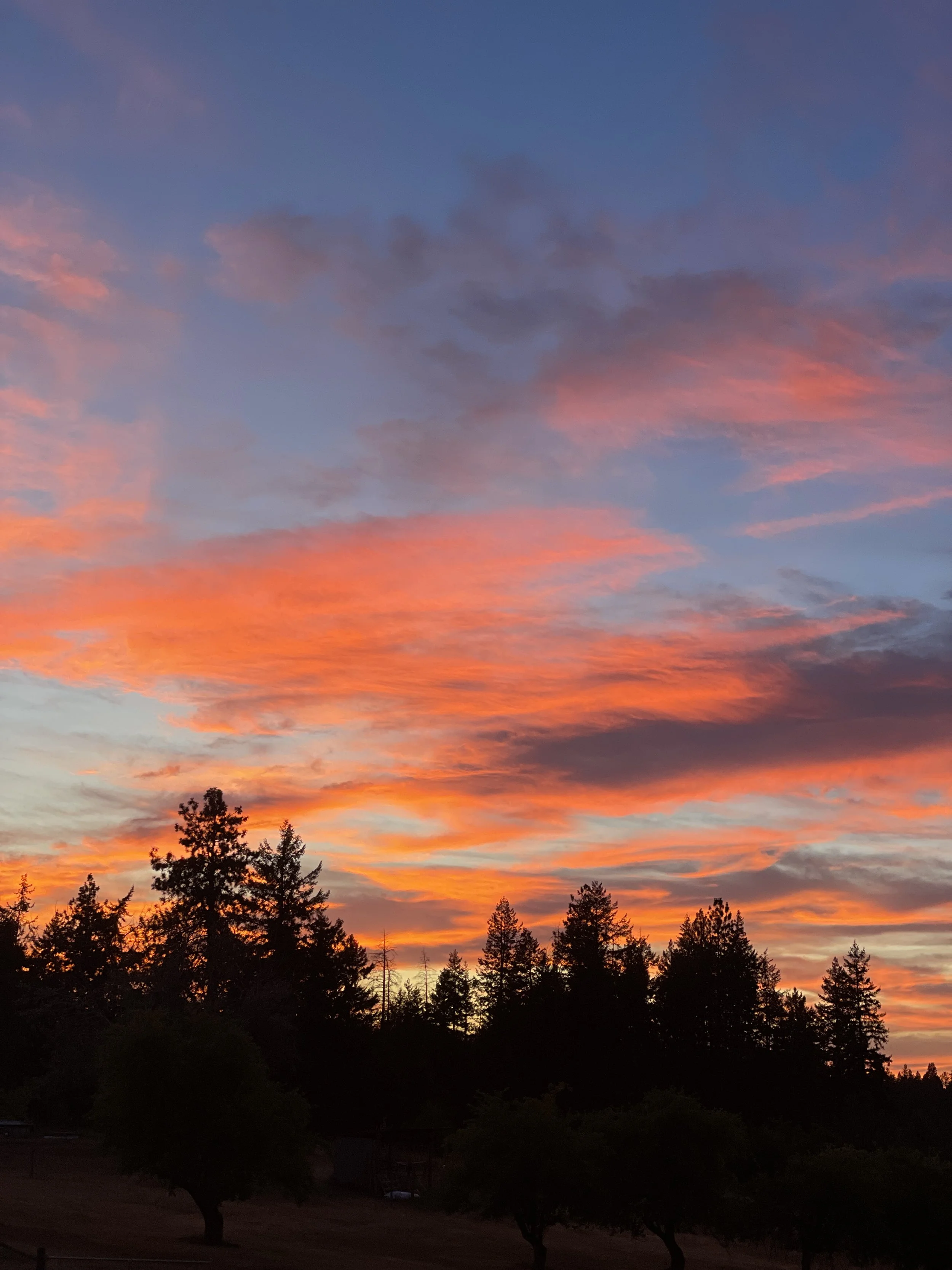 More beautiful summer skies