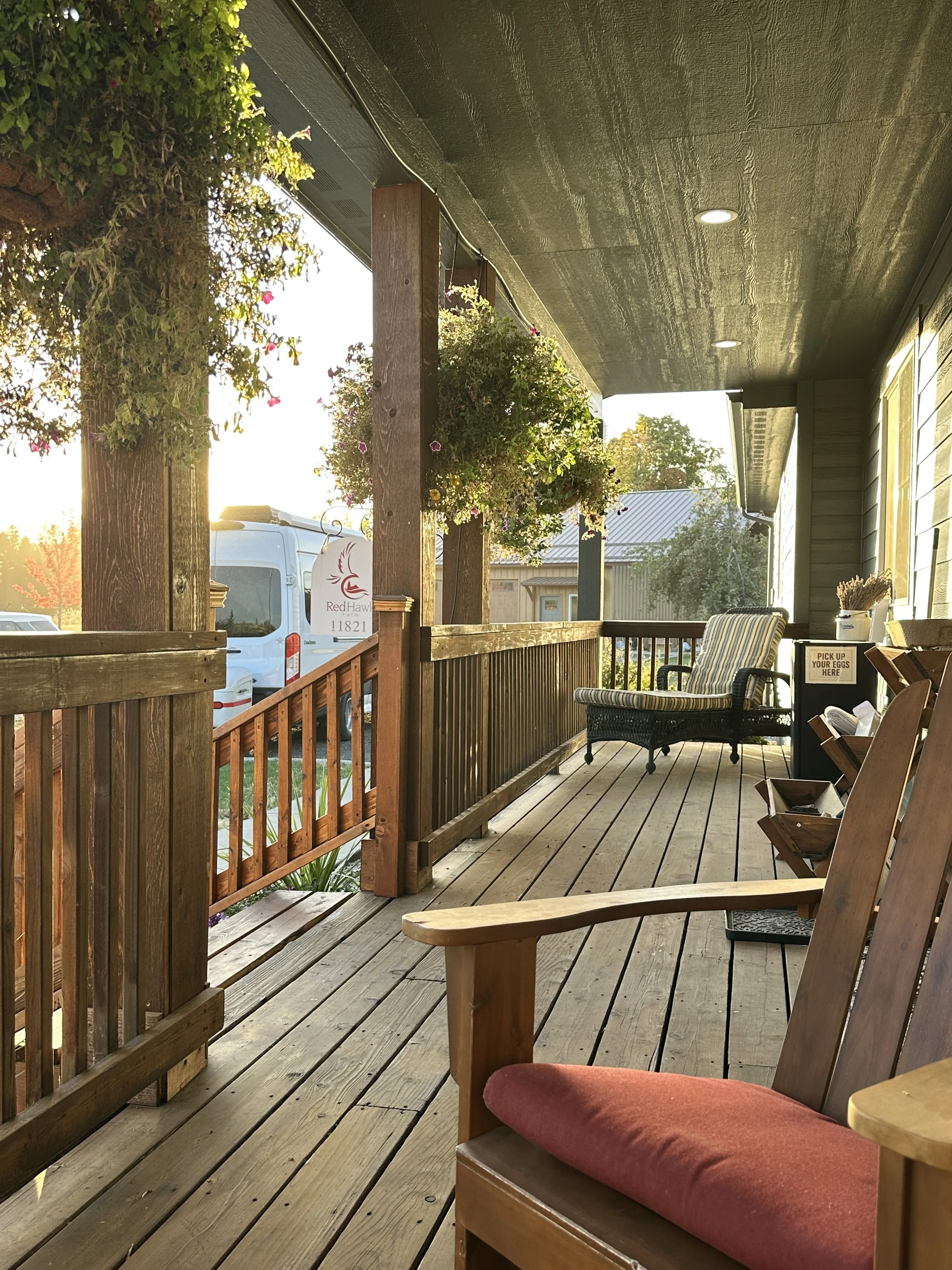 Fall afternoon