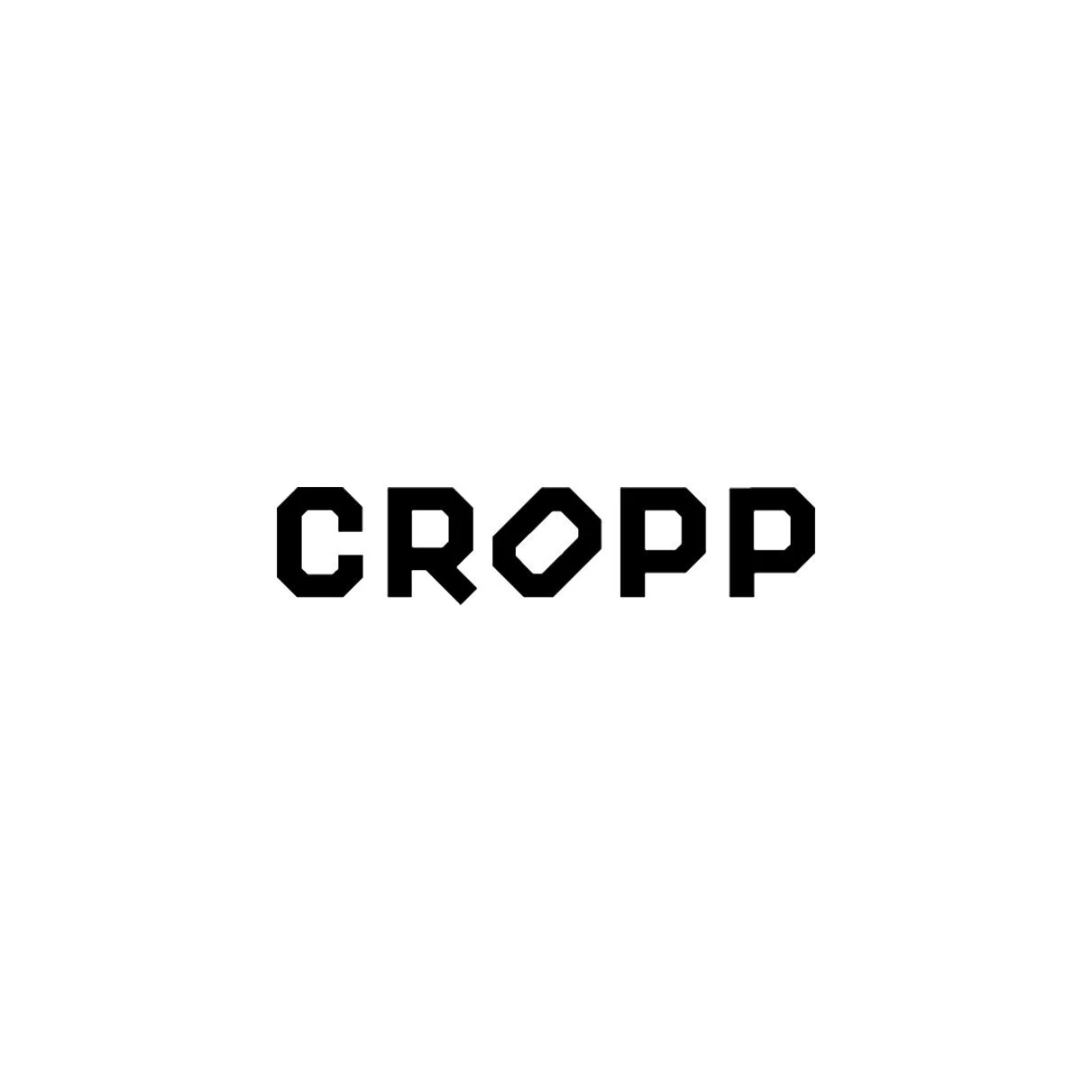 cropp.jpg