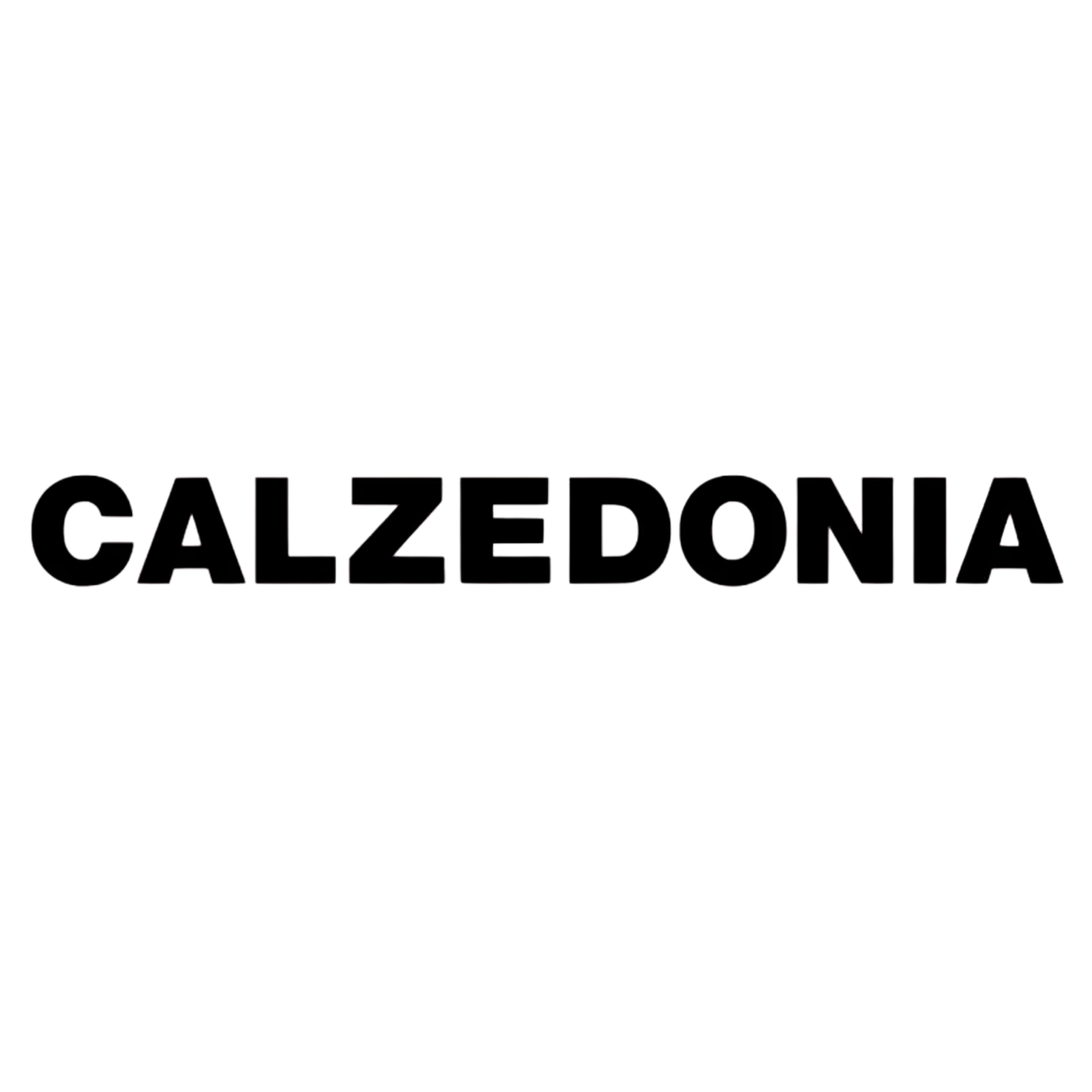 calzedonia.png