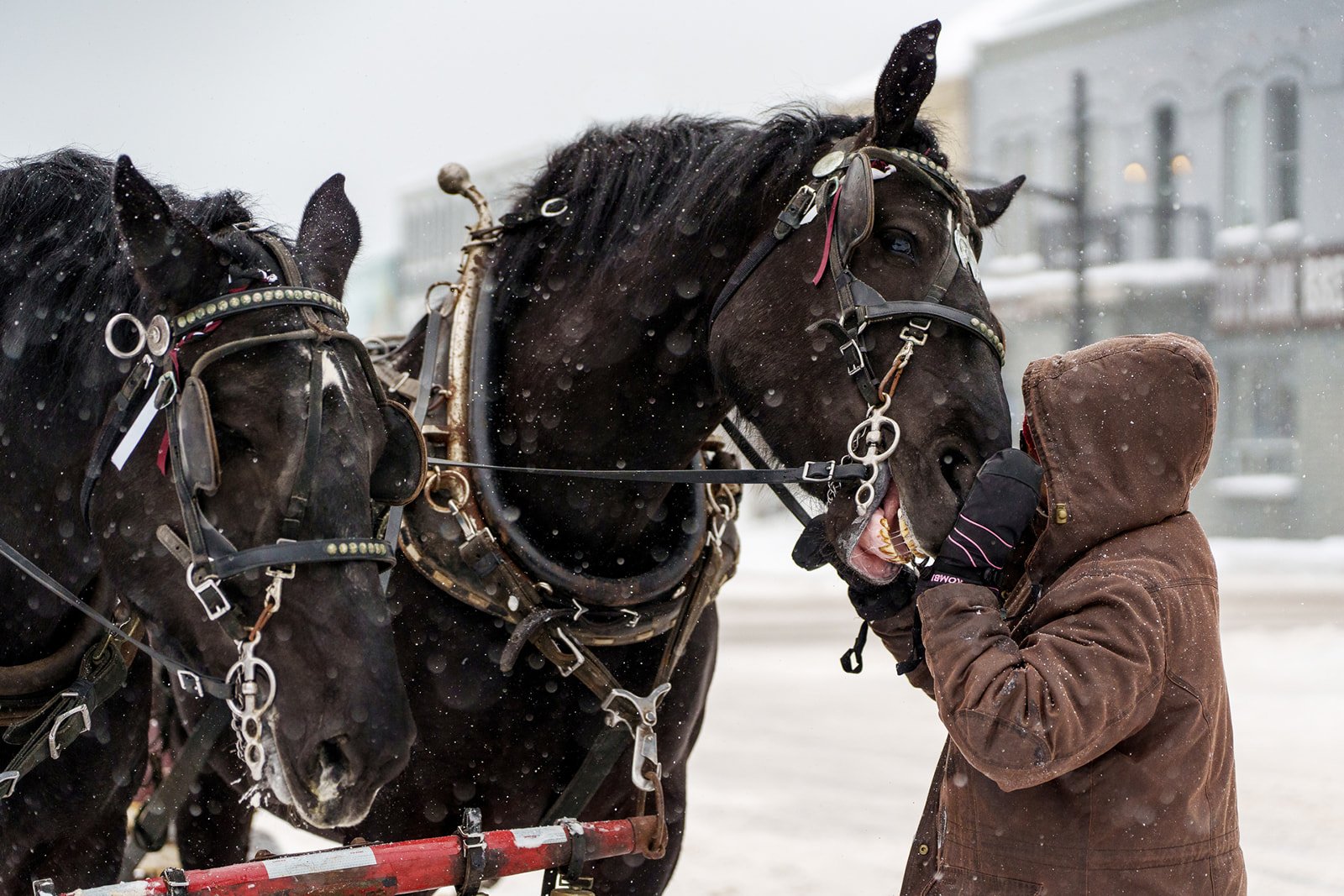 That was pretty funny, Ellen!