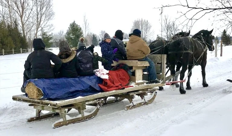 Sleigh Rides