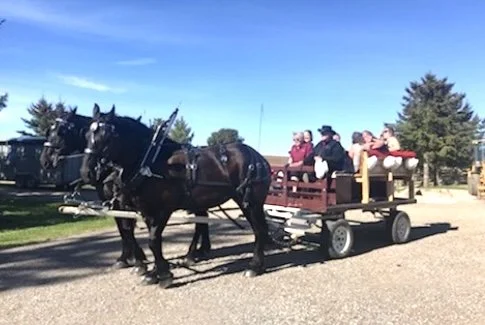 Wagon rides at the farm.