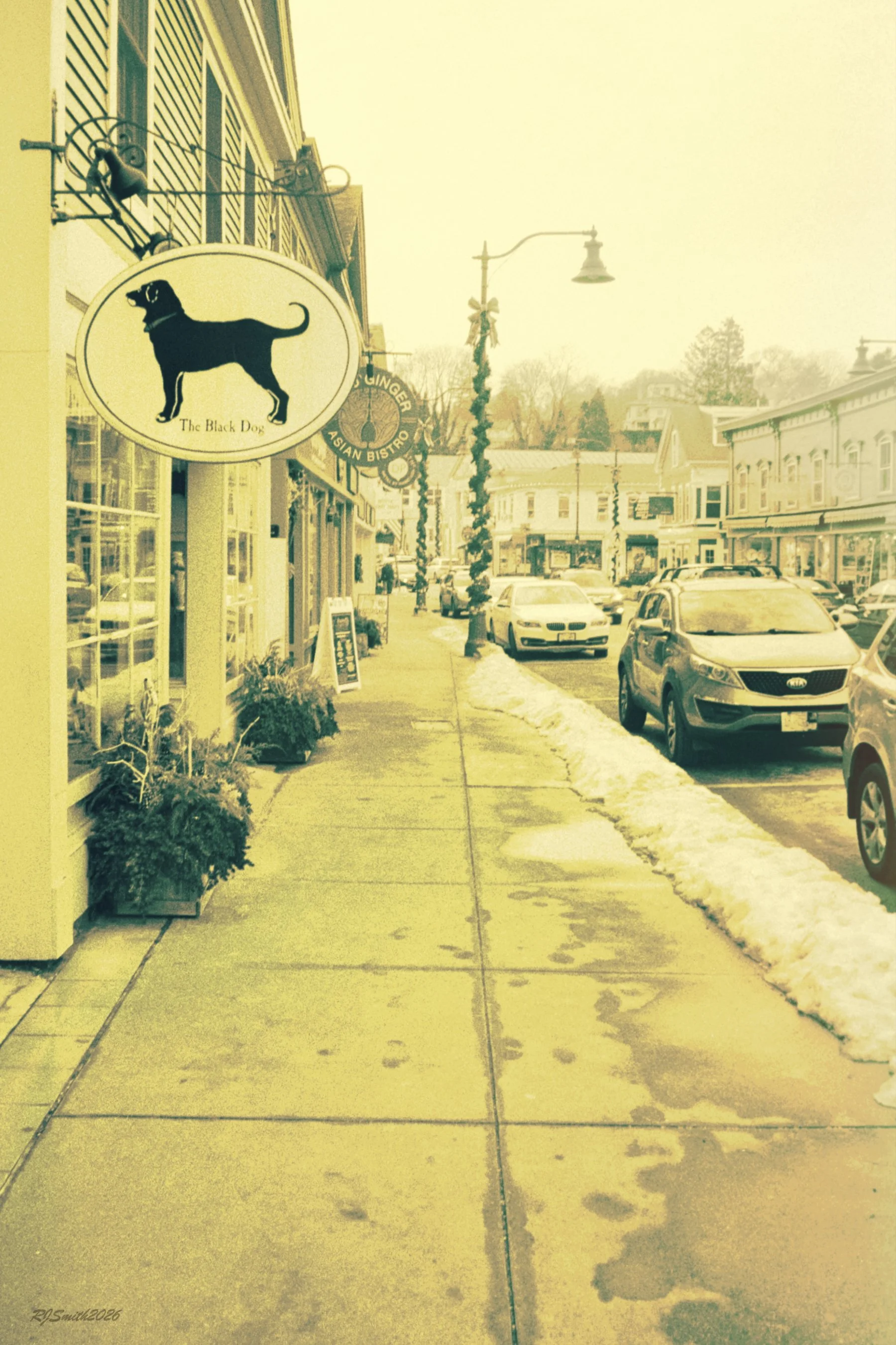 1421AC012 copyMain Street (Panda 400) 6X9 A7475396.jpg