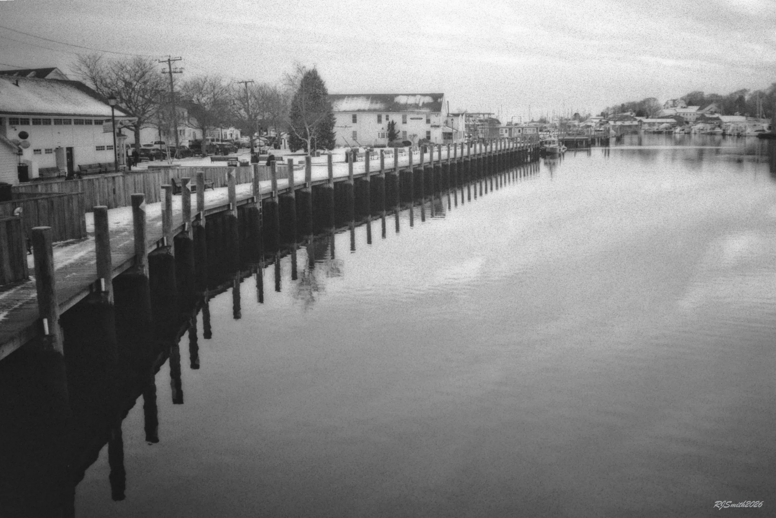 1420AA012 copyMystic River (Panda 400) 9X6  A7475400.jpg