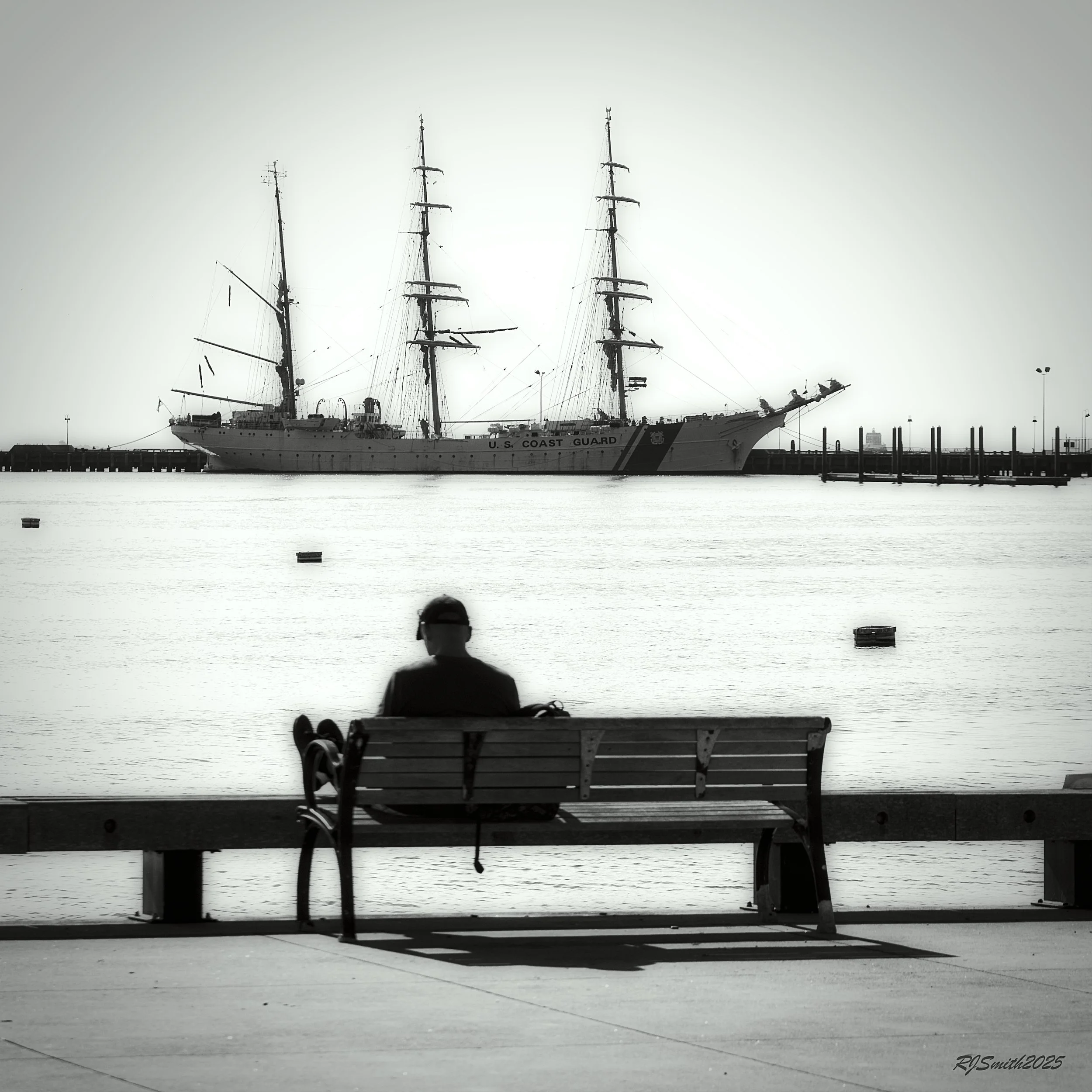 5L5A8187 copyEagle  B&W  12X12  A747430.jpg